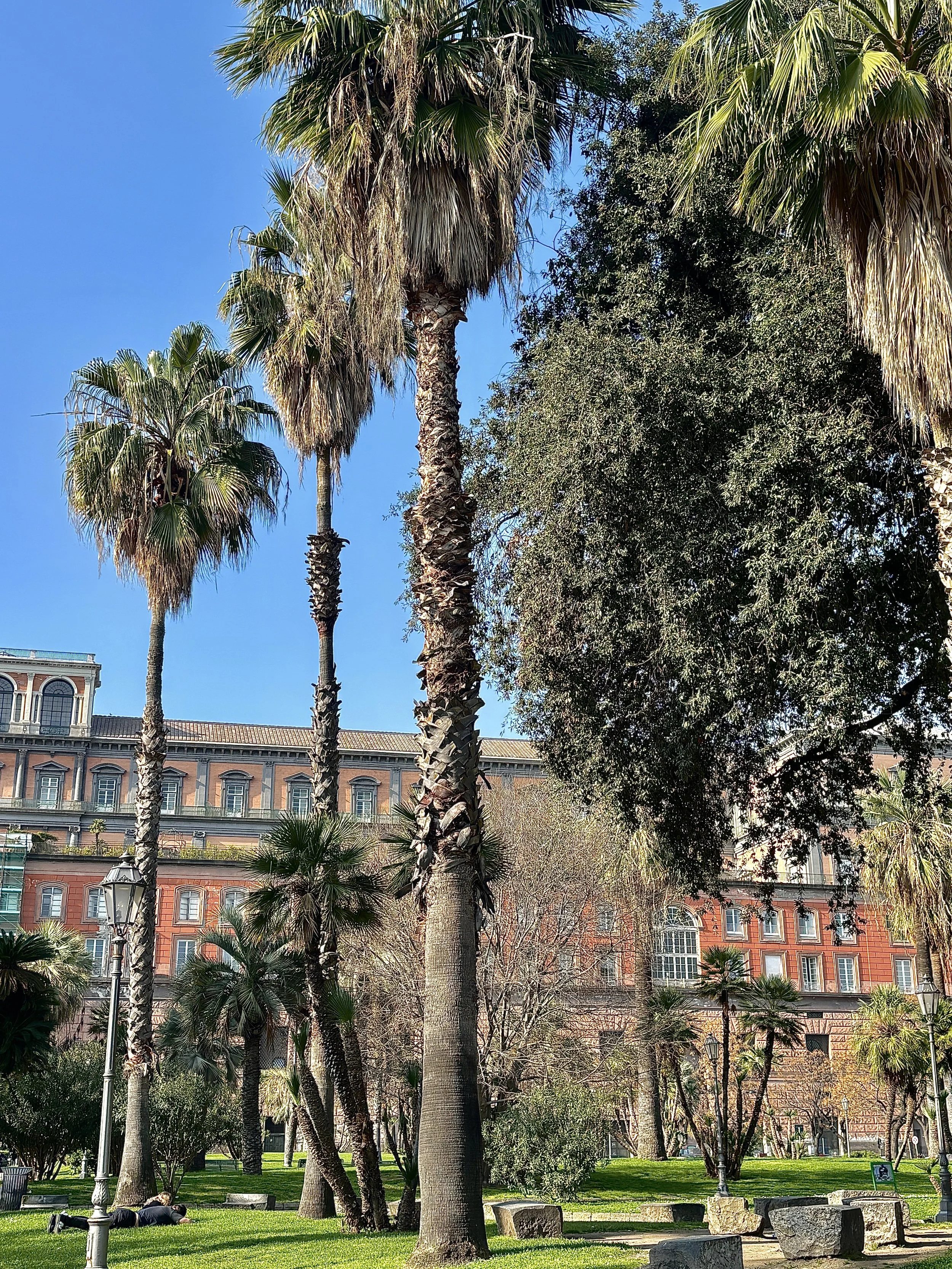 Ein Park mit mehreren Palmen und Bäumen, im Hintergrund ein großes historisches Gebäude mit roten Steinen und vielen Fenstern unter klarem blauen Himmel.