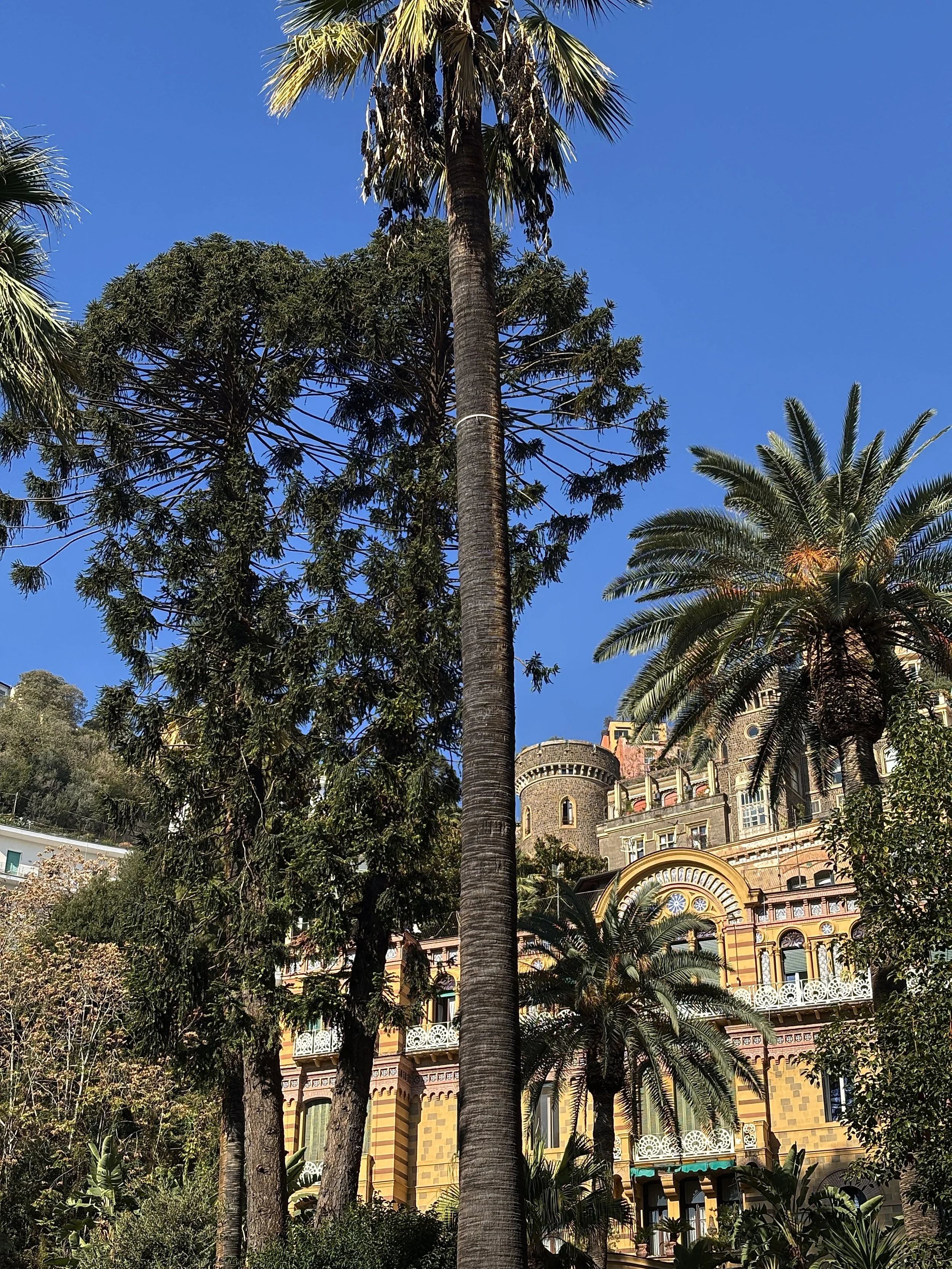 Aufnahme eines historischen Gebäudes mit bunten Fassaden, umgeben von hohen Palmen und anderen Bäumen bei sonnigem Himmel.