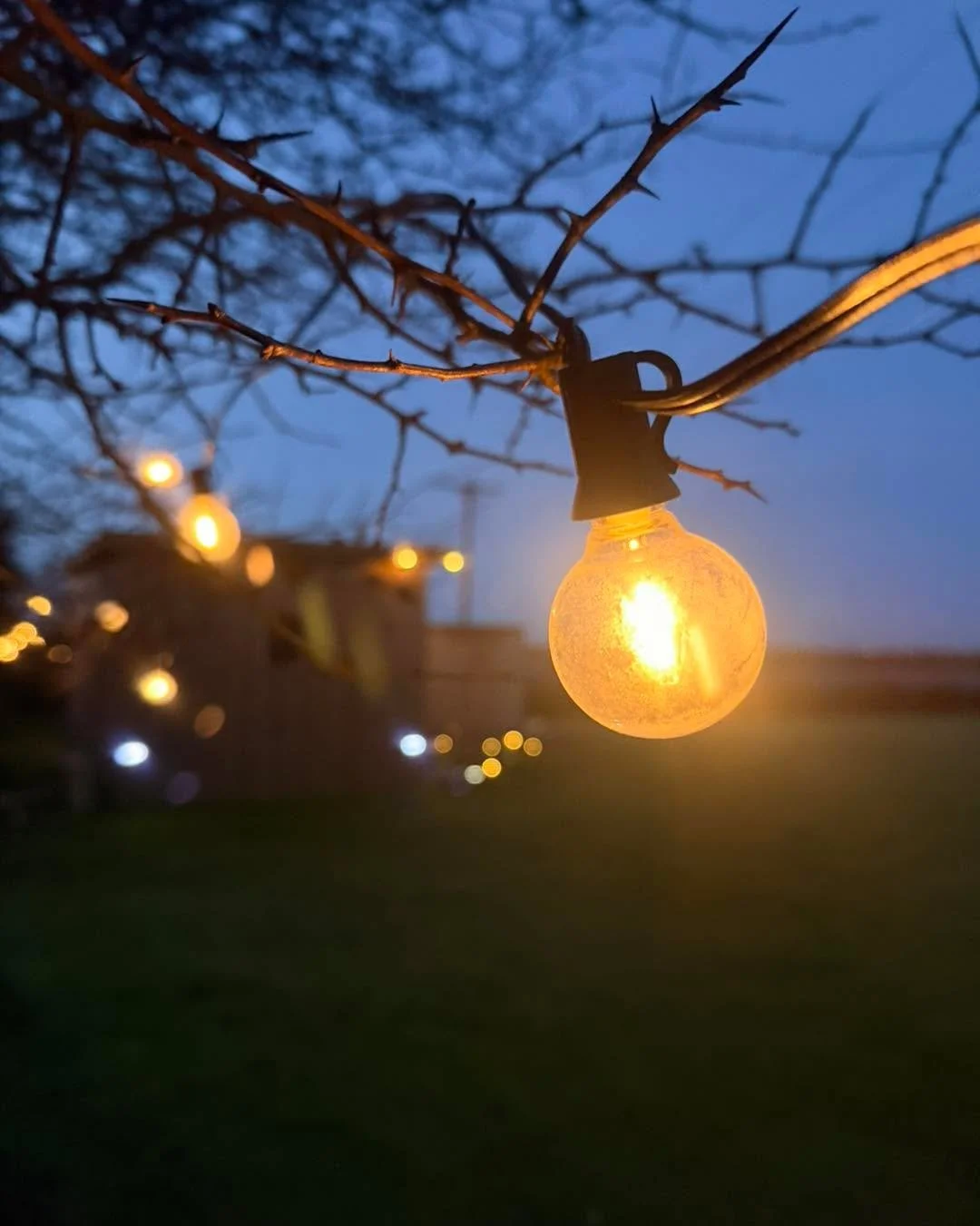 The evenings are drawing in, and we&rsquo;re rather enjoying this little corner of the farm after dark. ✨

The lights come on, the sauna warms up, and there&rsquo;s somewhere cosy waiting at the end of a busy day.

Bring a friend you&rsquo;ve been me