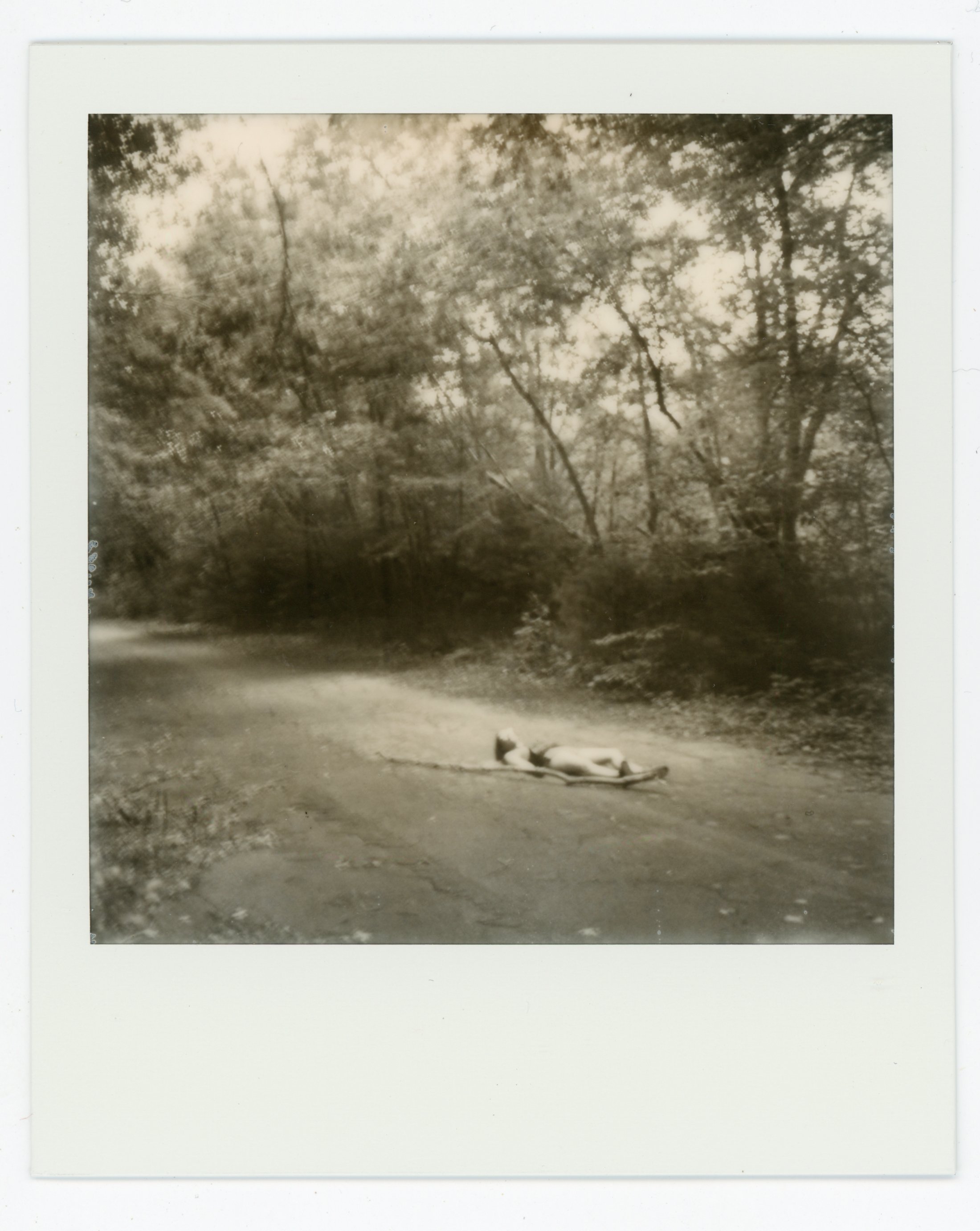 Black and white photograph of a dog lying on a leash in the middle of a dirt road, surrounded by trees and foliage.