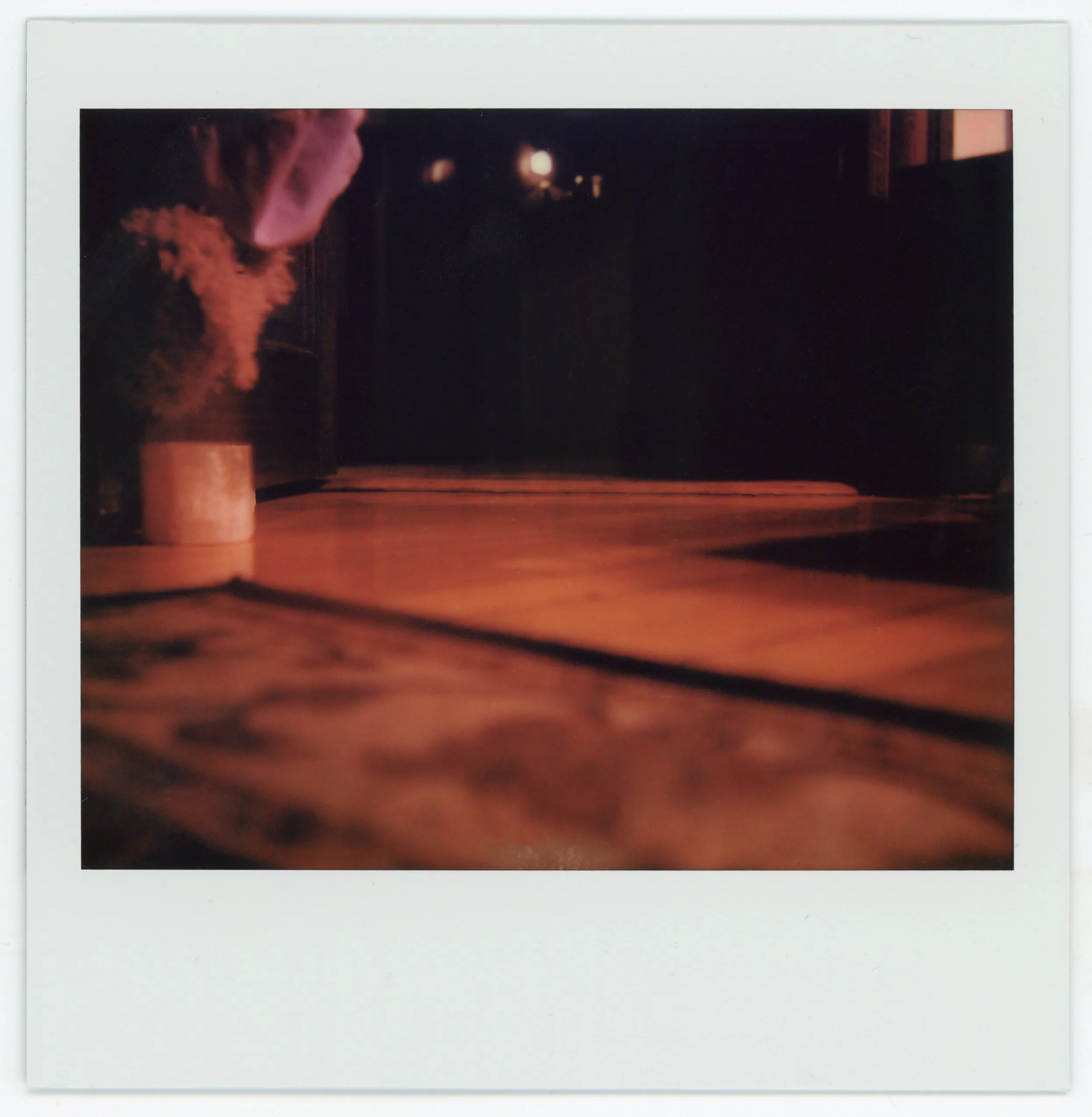 A wooden floor with a bedside table, a potted plant, and a person sitting on the floor in a dimly lit room.