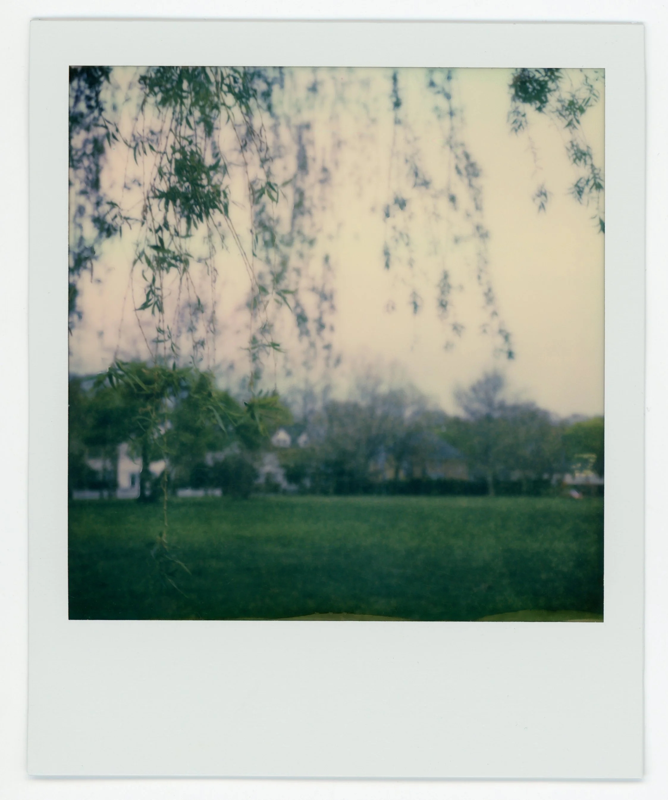 Polaroid photo of a blurry outdoor scene with trees, grass, and houses in the distance.