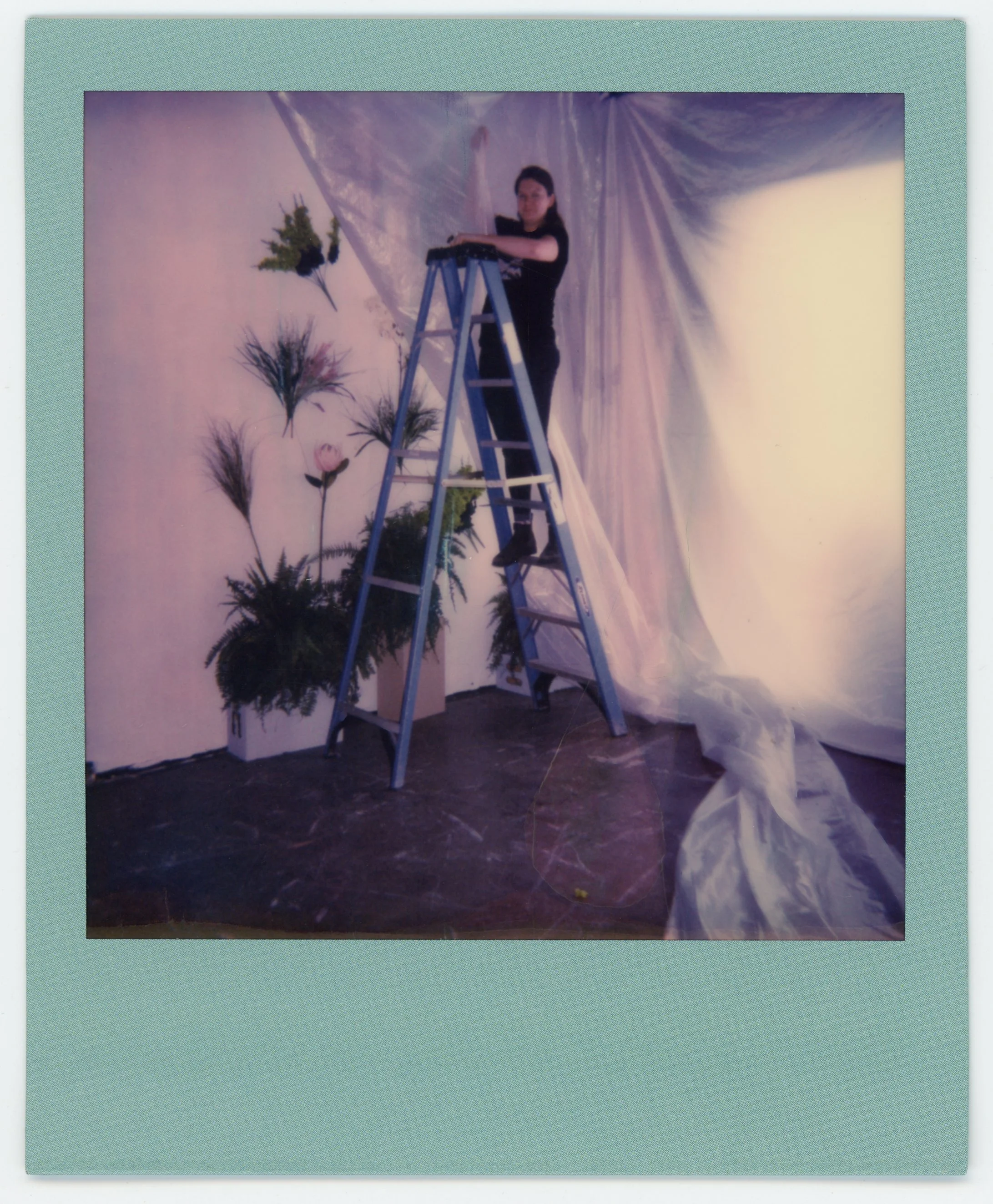 A person standing on a ladder arranging flowers or plants in a room decorated for a floral display or event, with a mural or backdrop of plants and flowers behind them.