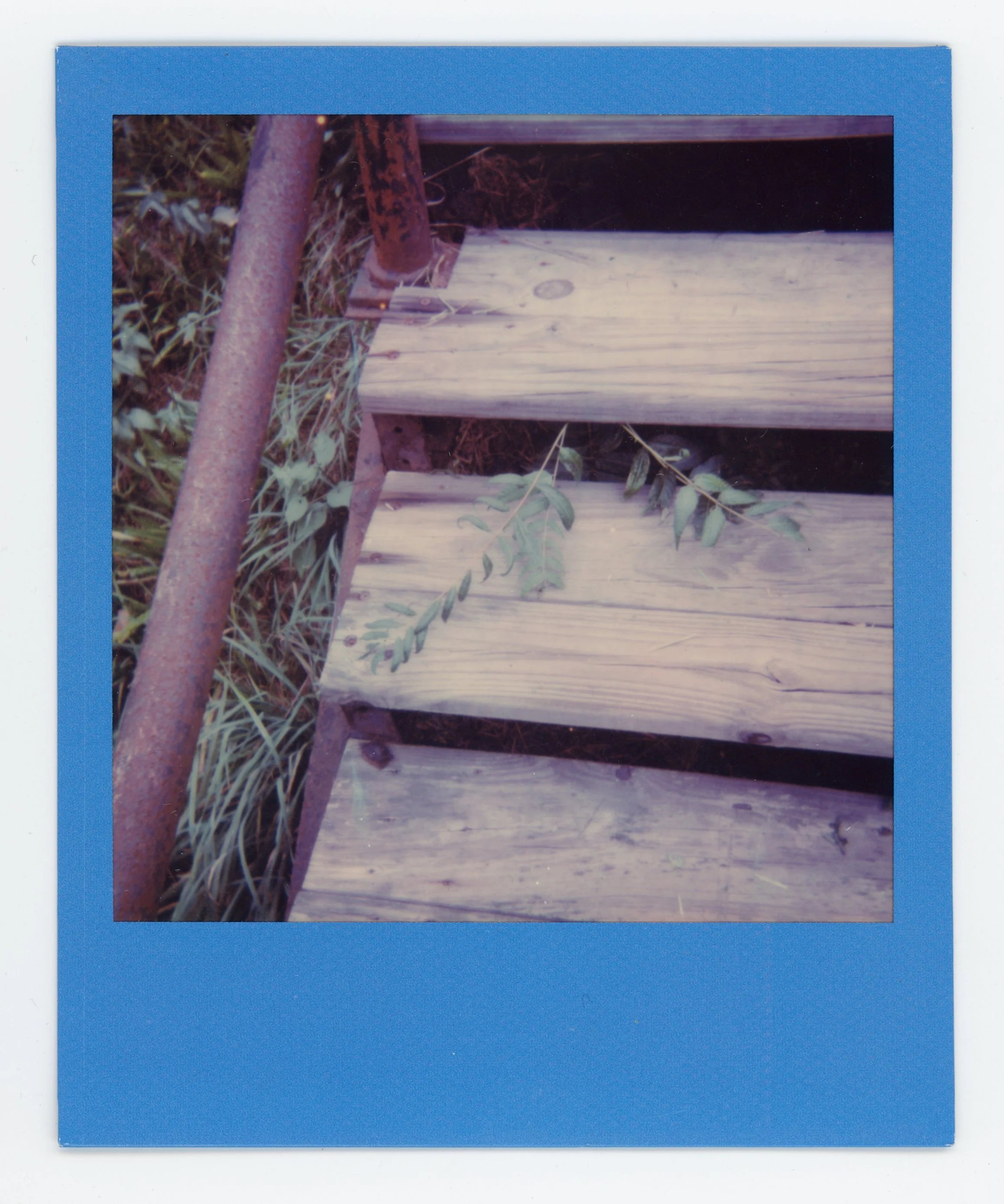 Close-up of weathered outdoor wooden steps with some green foliage and a rusted metal support pole.