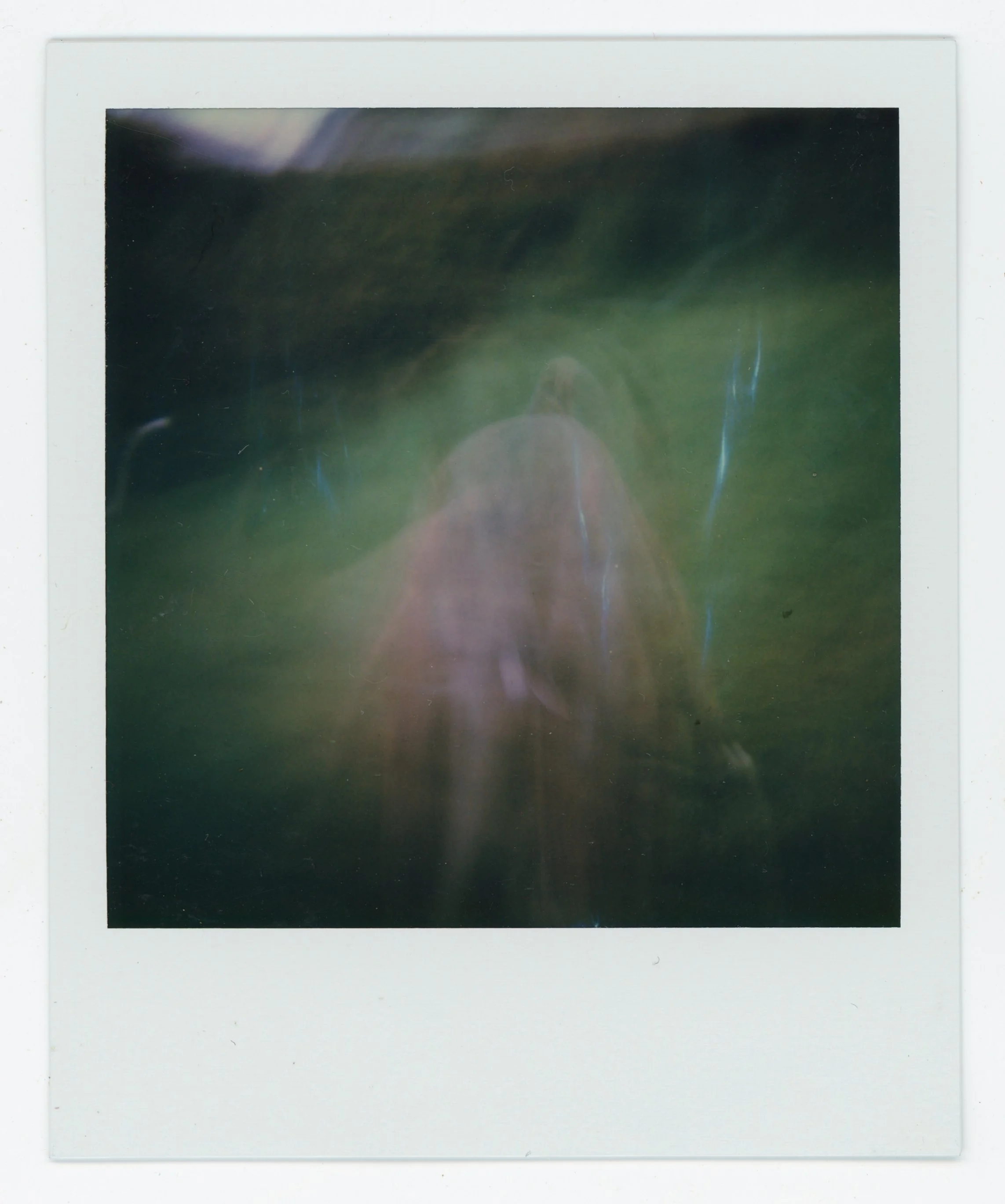 An underwater photograph showing a fish swimming near the surface, with reflections and blurred water motion.