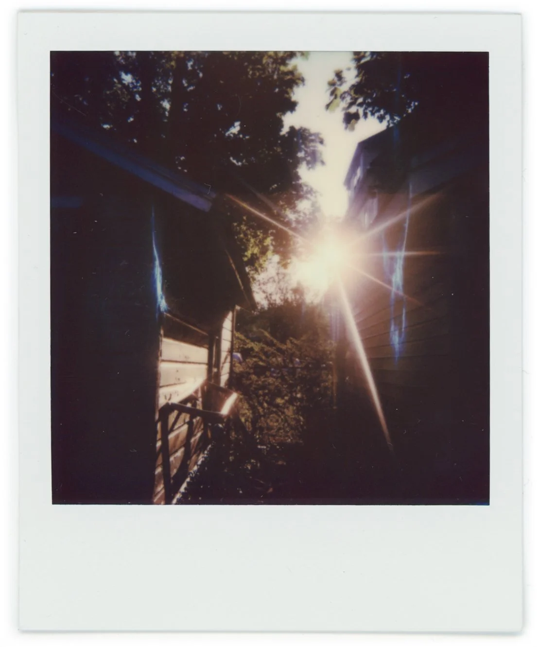 Sunlight shining between trees and houses, creating lens flares in a sunny outdoor scene.