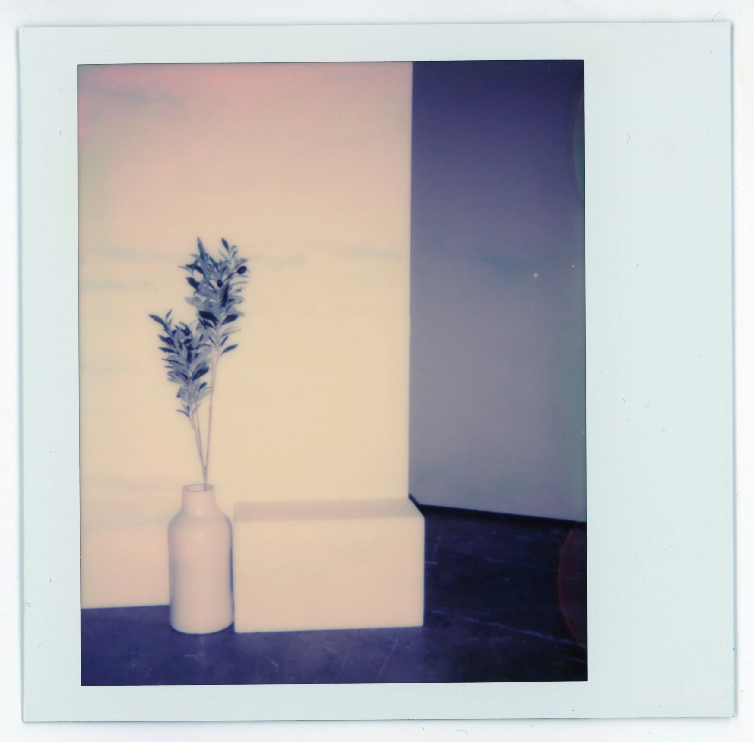 A white vase with green leaves, placed on a white rectangular block, with a dark corner of a room in the background.