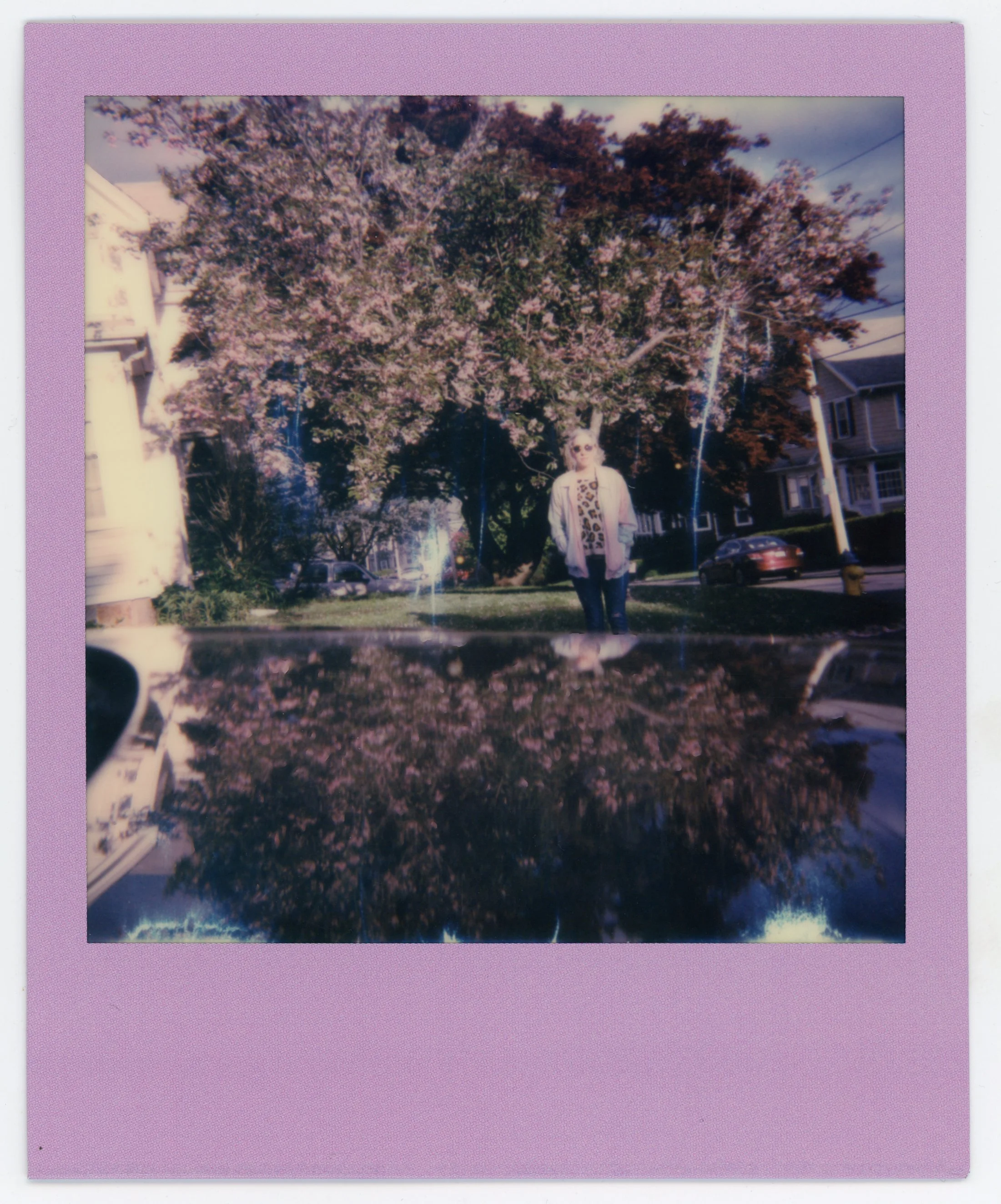 Person standing on a sidewalk under a blooming cherry blossom tree, with cars and houses in the background, and a reflection of the scene on a shiny surface.