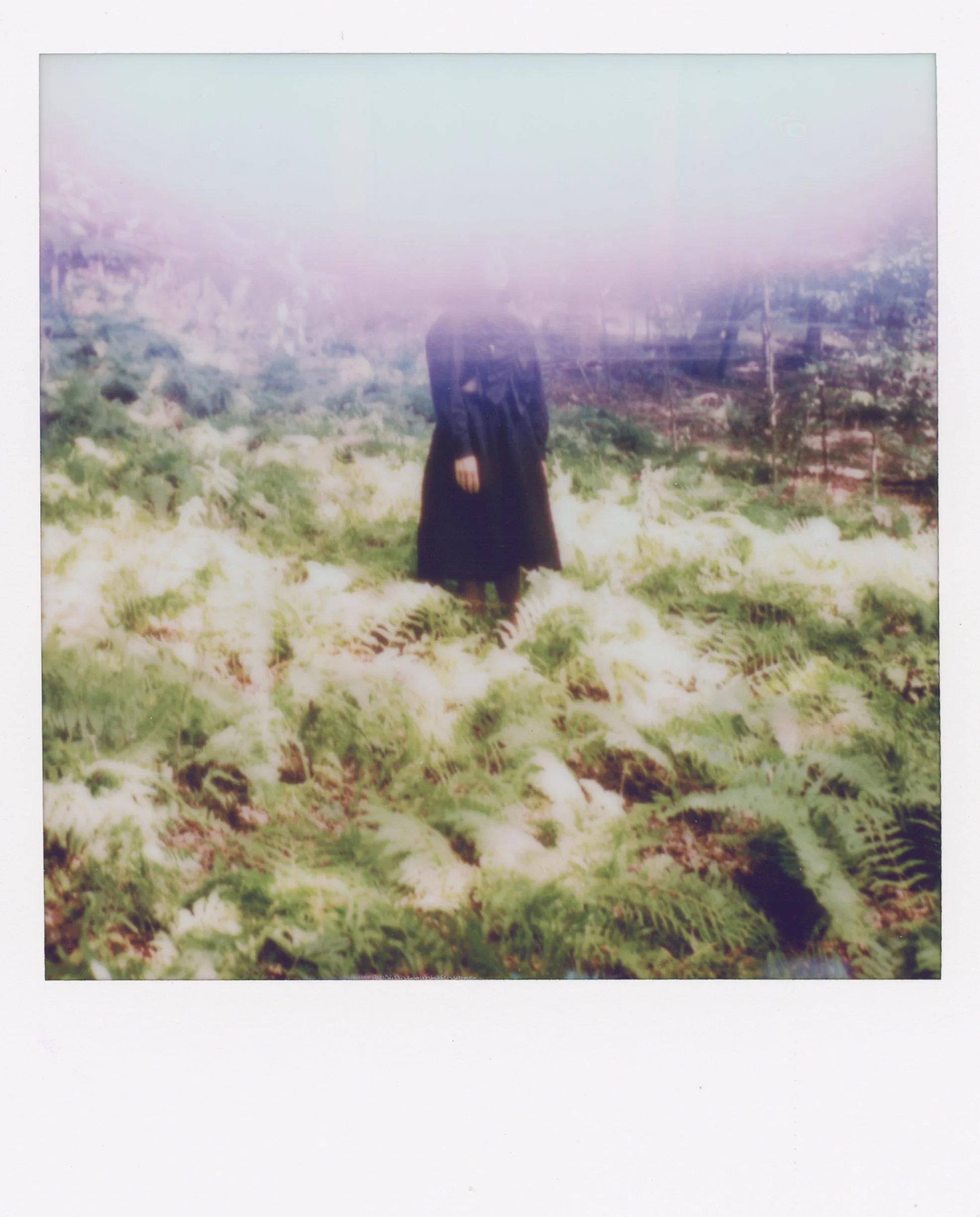 A person in a dark dress standing among lush green ferns with a blurred background and a bright, hazy light.