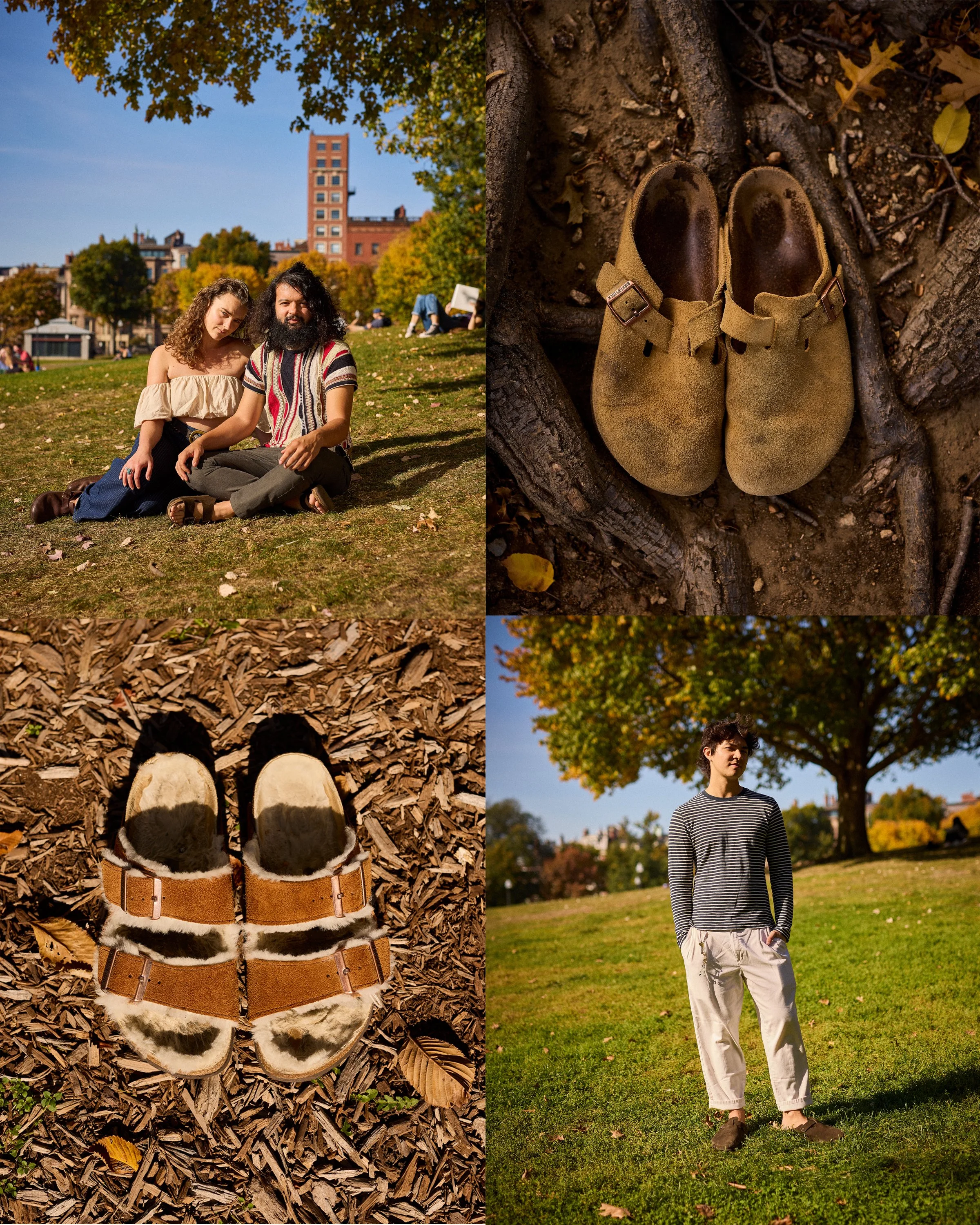 STEPHLARSEN_BIRKBOSTON_BOSTONCOMMONEDIT copy.jpg