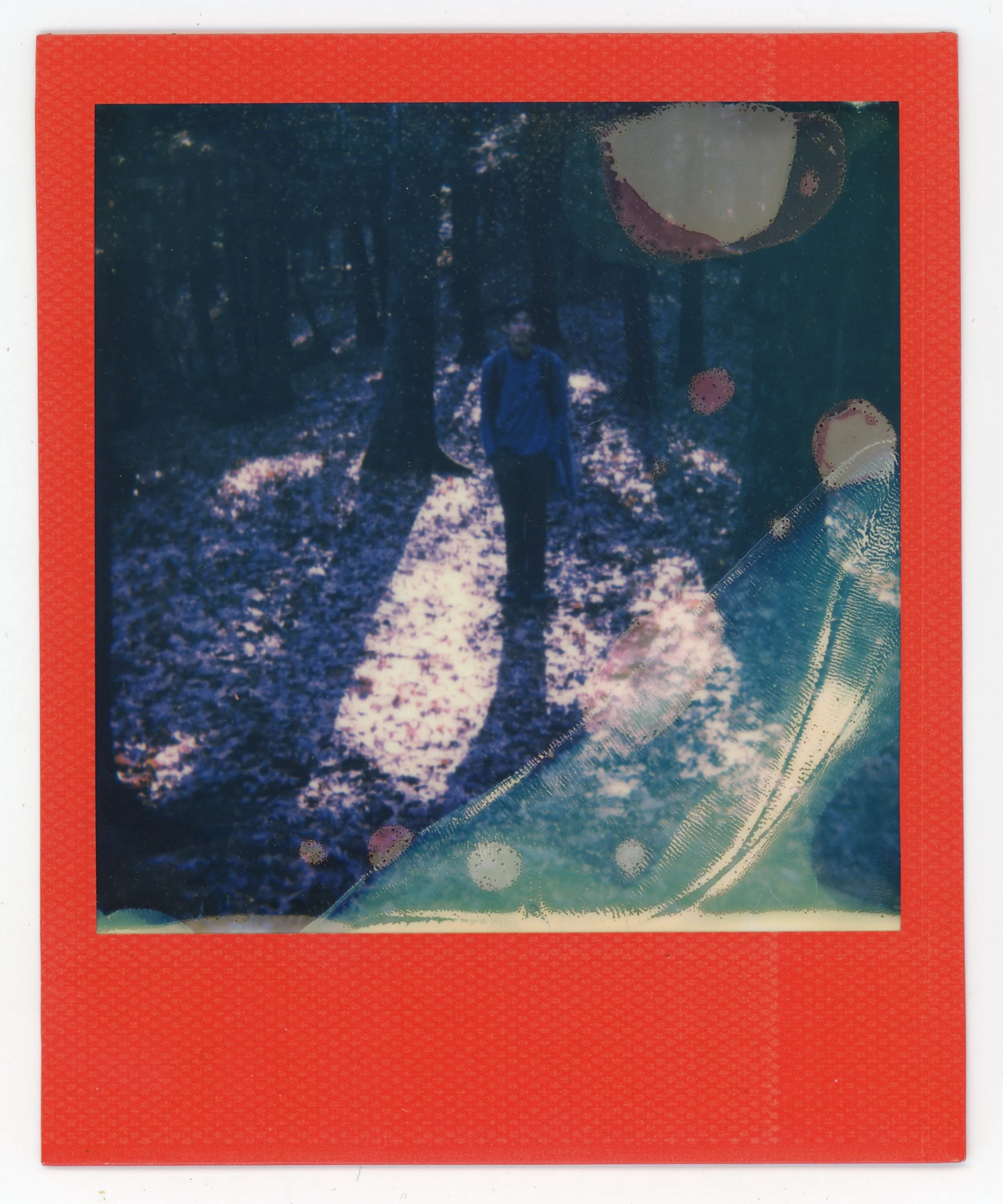 A person walking on a forest trail in the woods, with sunlight filtering through trees, overlaid with colorful bubbles and streaks, in a Polaroid frame.