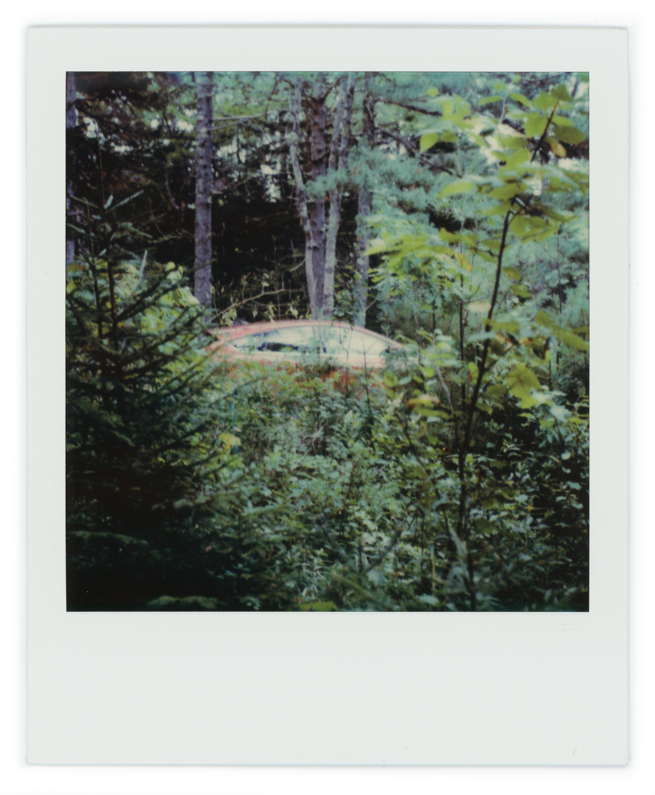 A vintage Polaroid photograph showing a car partially hidden among dense greenery and trees in a forest.