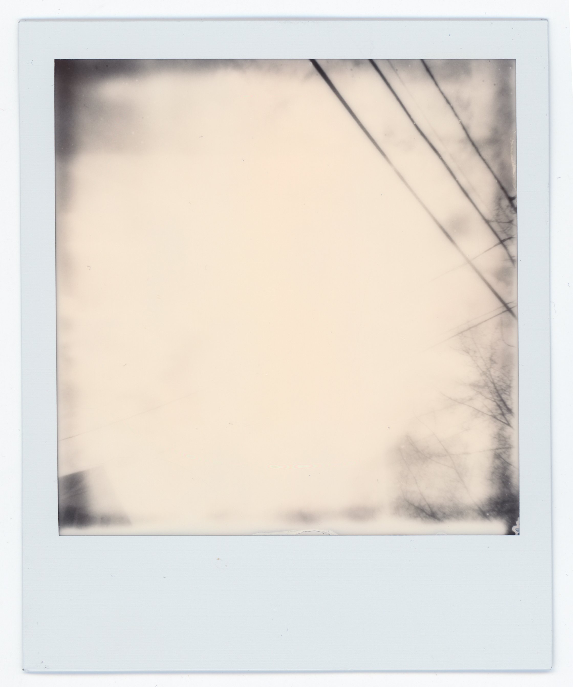 Polaroid picture showing a cloudy sky with tree branches and power lines.