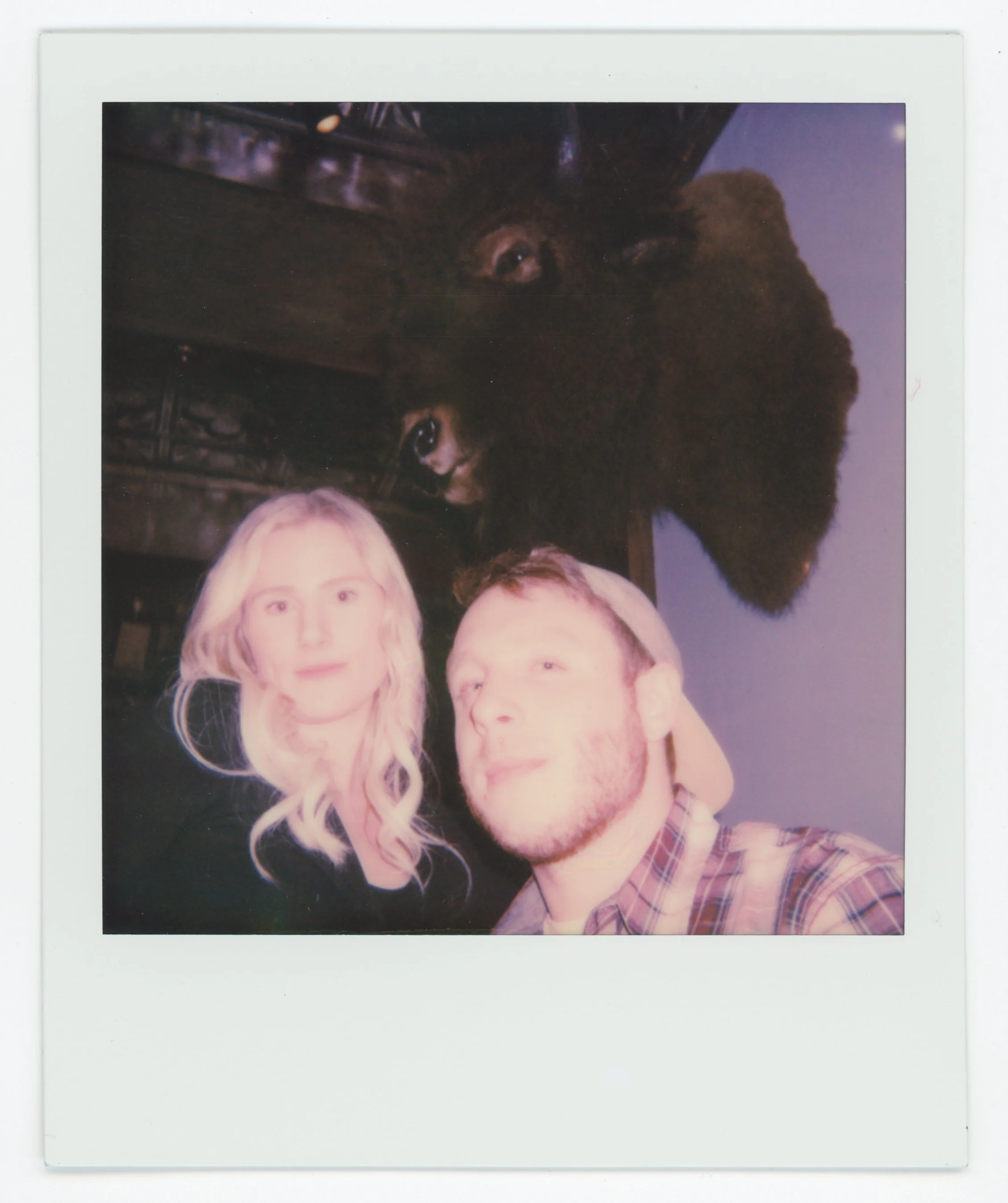 Polaroid photo of a woman with blonde hair, a man with a baseball cap, and a fluffy brown dog with its head upside down.