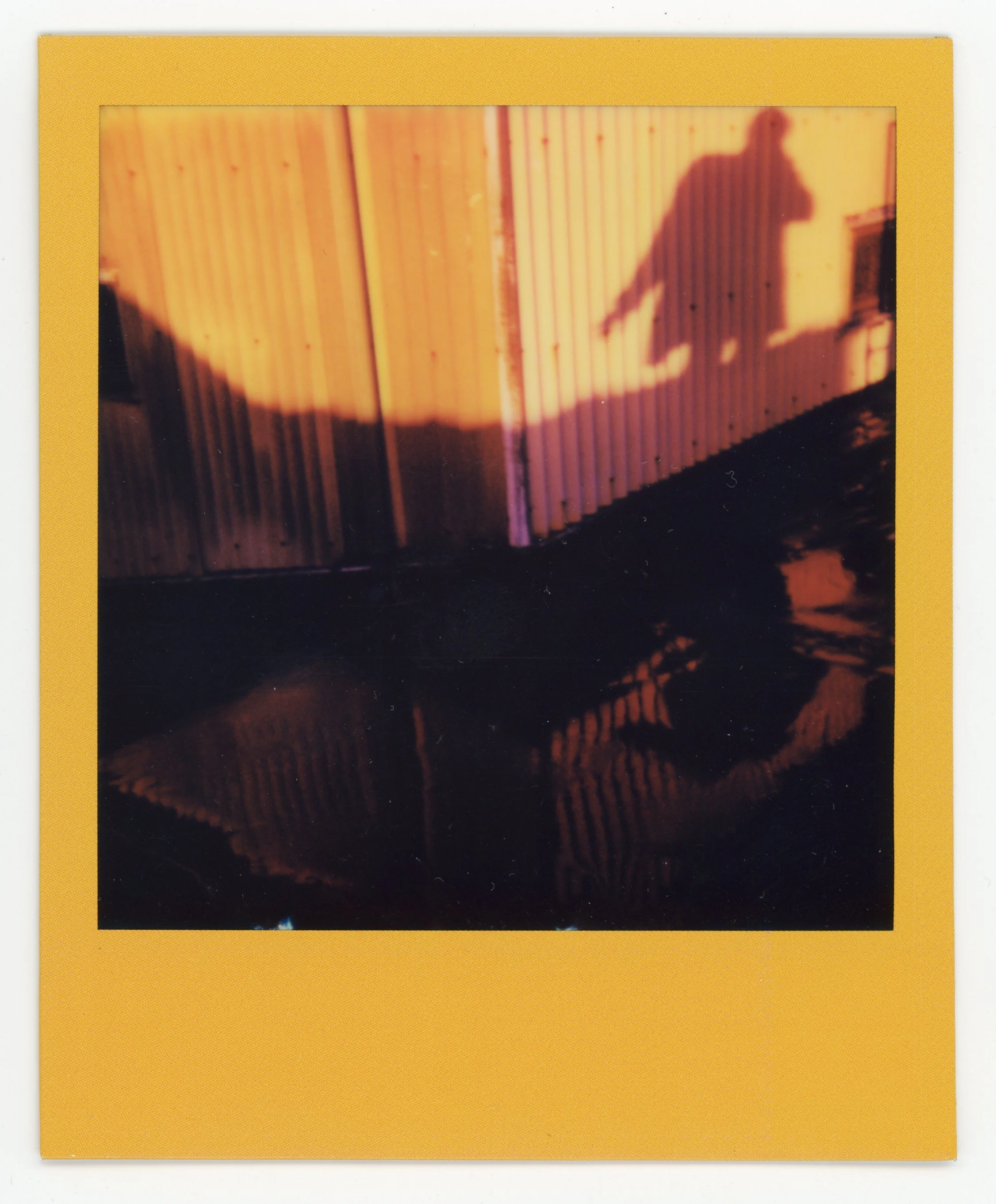Shadow of a dog cast on a corrugated metal fence, with reflections of the fence on a dark surface below.