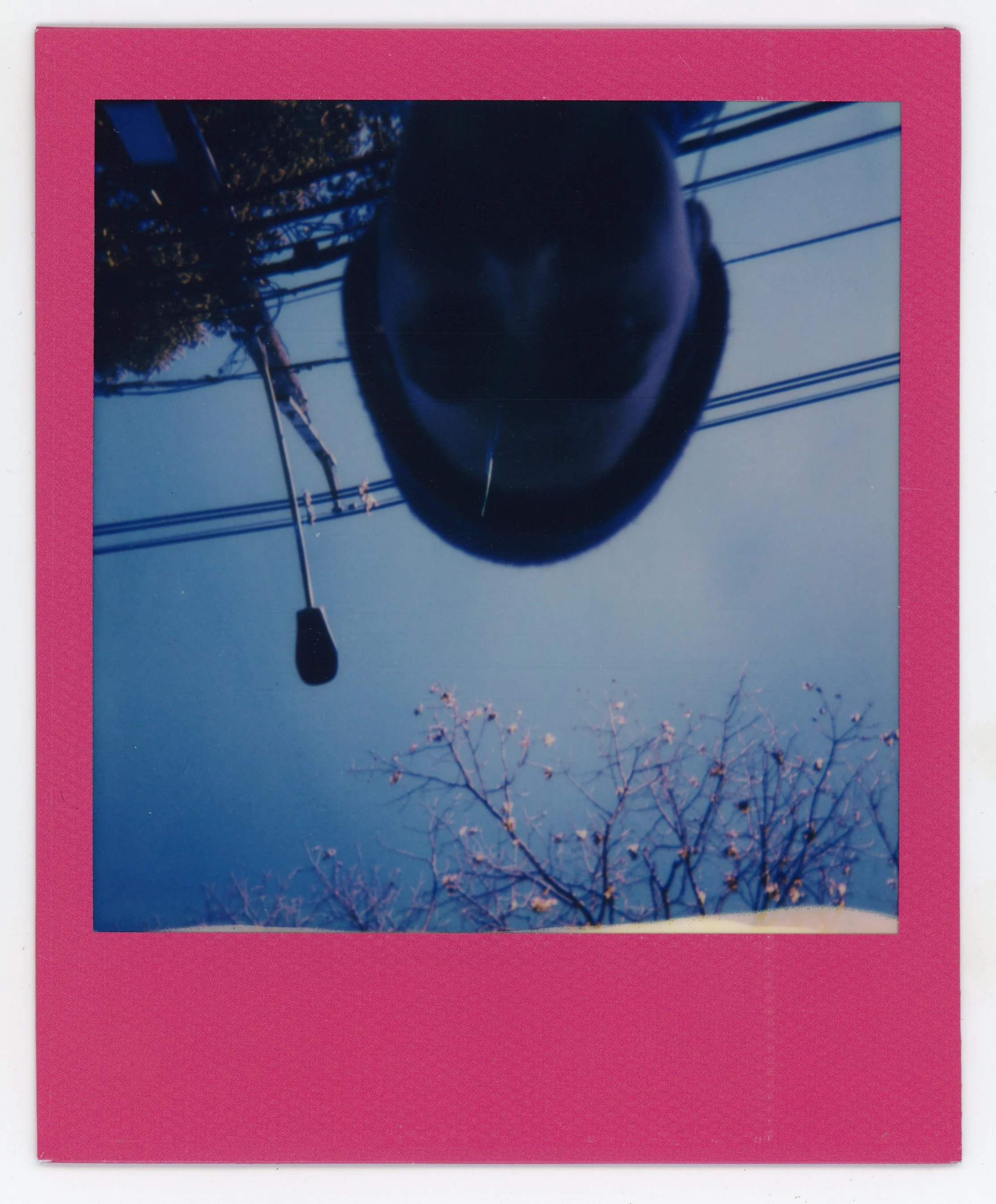 A person wearing a helmet takes a reflection photo of the sky, power lines, and tree branches with pink blossoms, using a camera or phone.