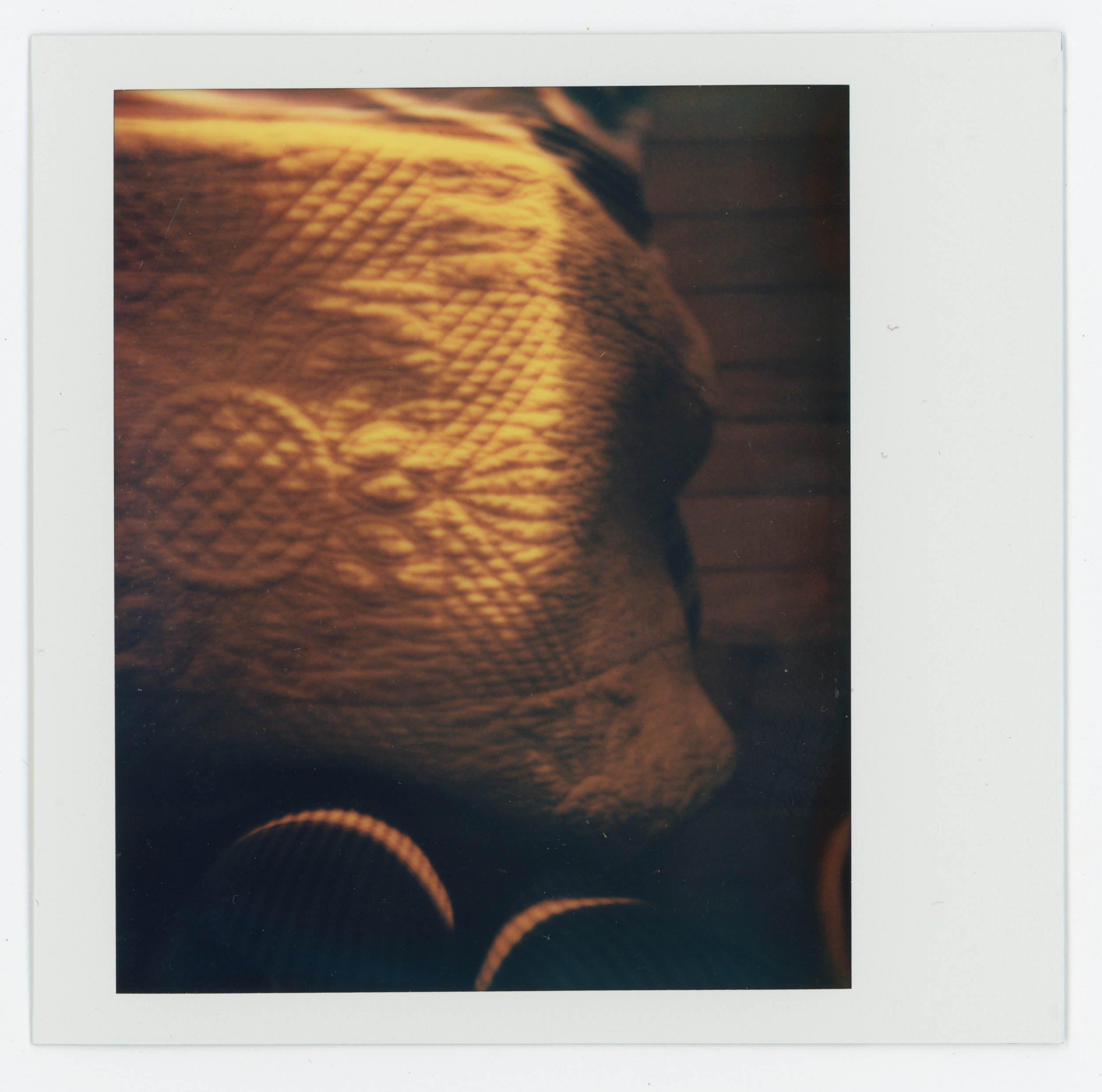 Close-up of a person with braided hair and earrings, with a warm-toned, blurred background.