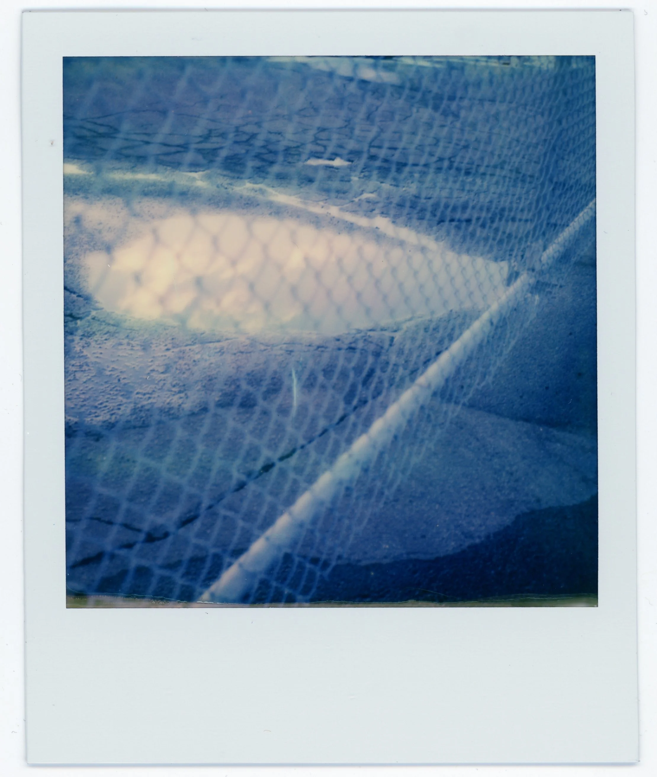 Close-up photograph of a fishing net with a fish caught inside, illuminated by sunlight.