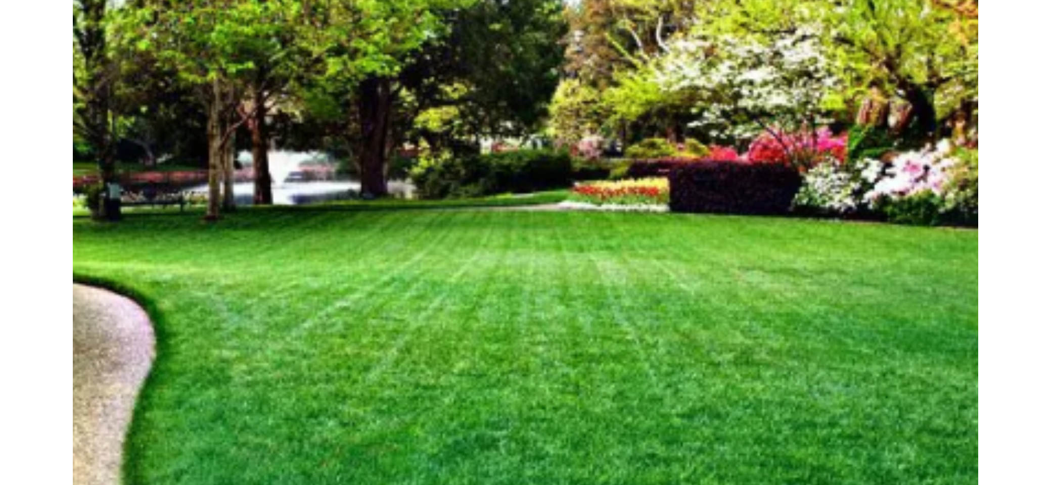 Seasonal Yard Cleanup