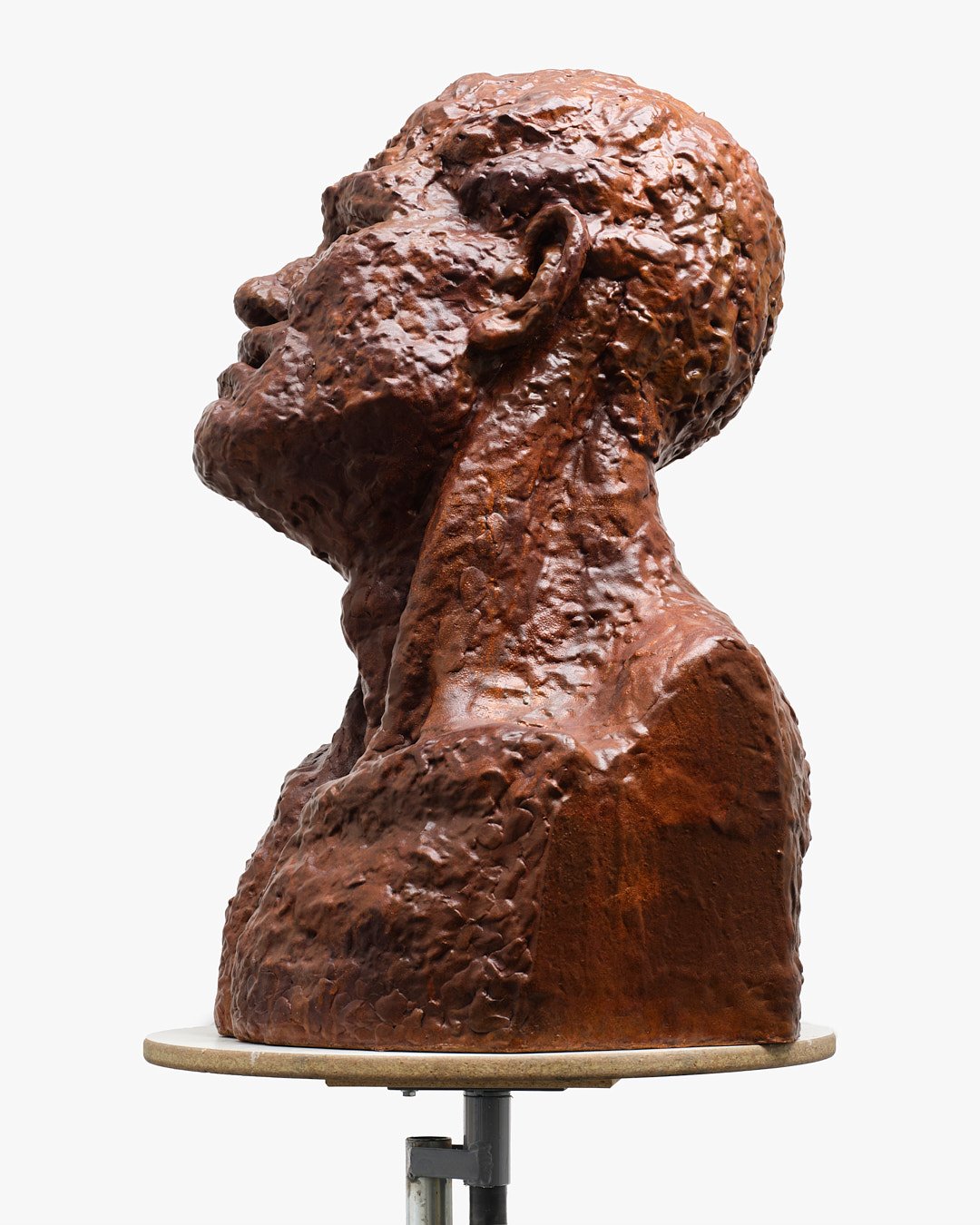 Bronze bust sculpture of a person's head and shoulders, viewed in profile, on a round pedestal