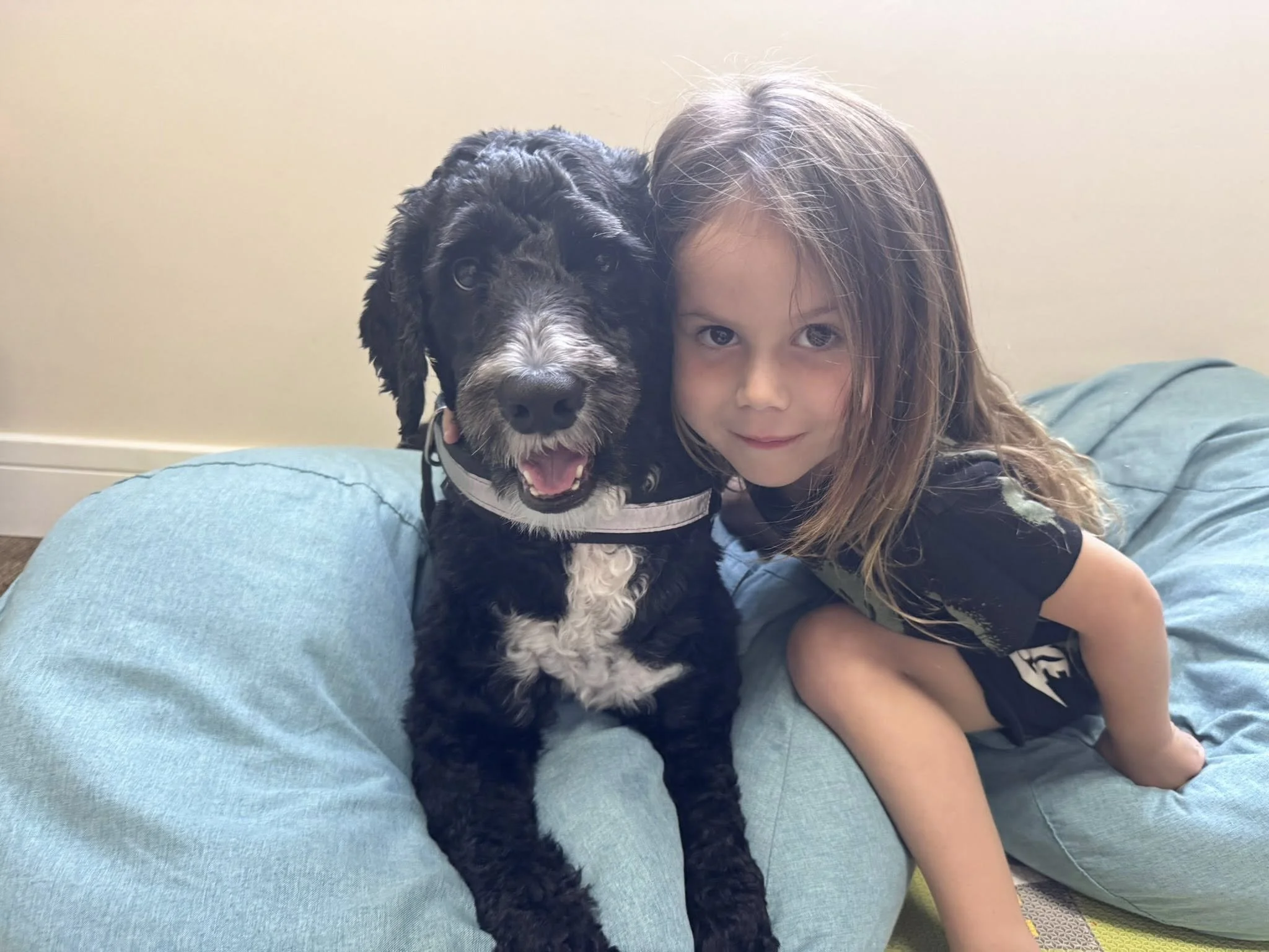 A girl with long brown hair in a black shirt and a black and white dog sitting together on a blue cushion in a room with a beige wall.