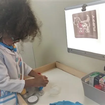 Child in a veterinarian clinic examining an X-ray of a puppy on a lightbox.