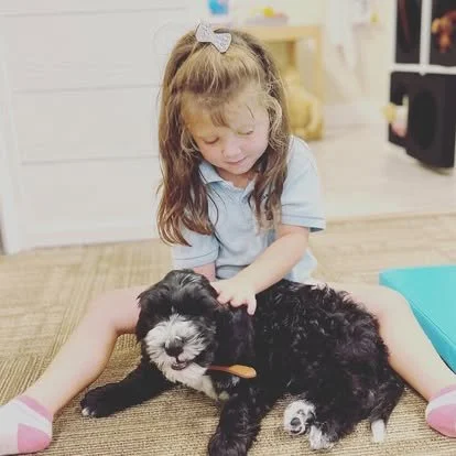 A young girl sitting on the floor with a black and white puppy lying in front of her.
