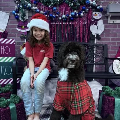 A young girl in a red Christmas shirt and Santa hat sitting next to a large black and white dog wearing a red and green plaid Christmas sweater. They are in front of a decorated Christmas background with wrapped presents, ornaments, and a snowman decoration.