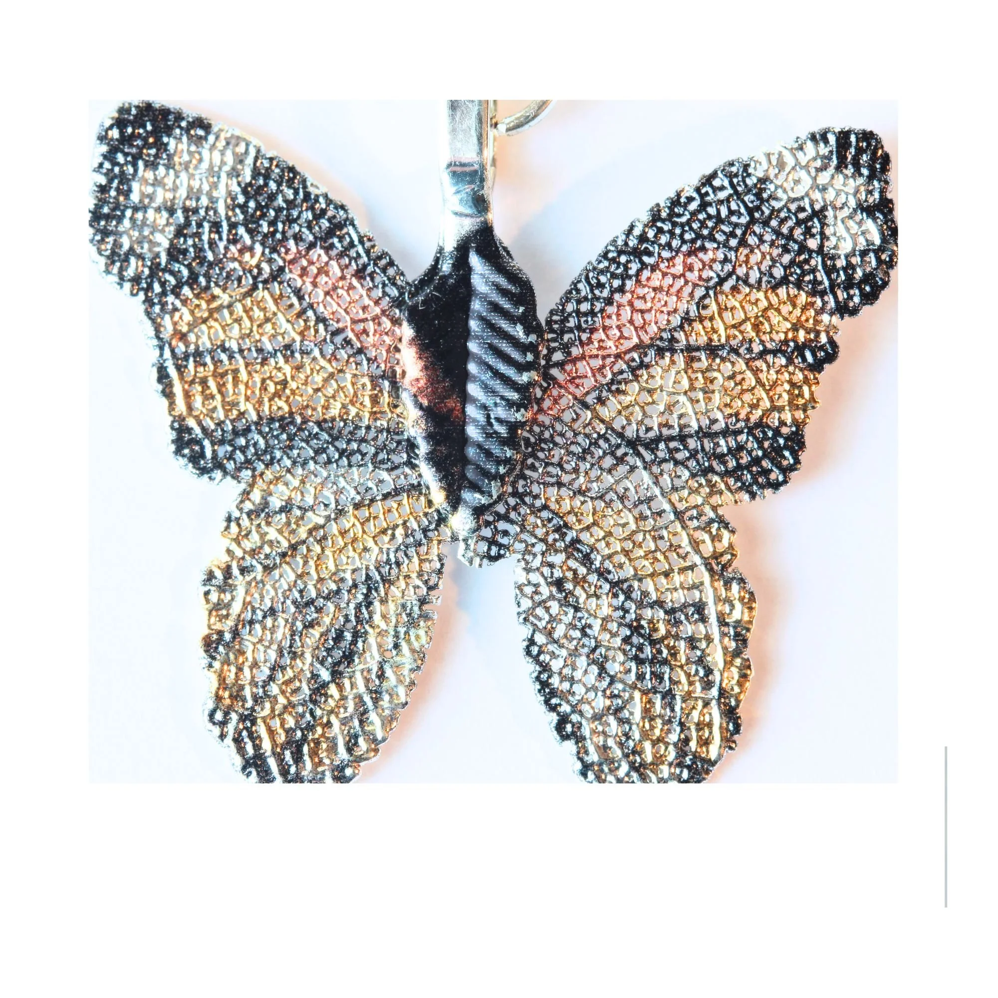 monarch detail.JPG (Copy)