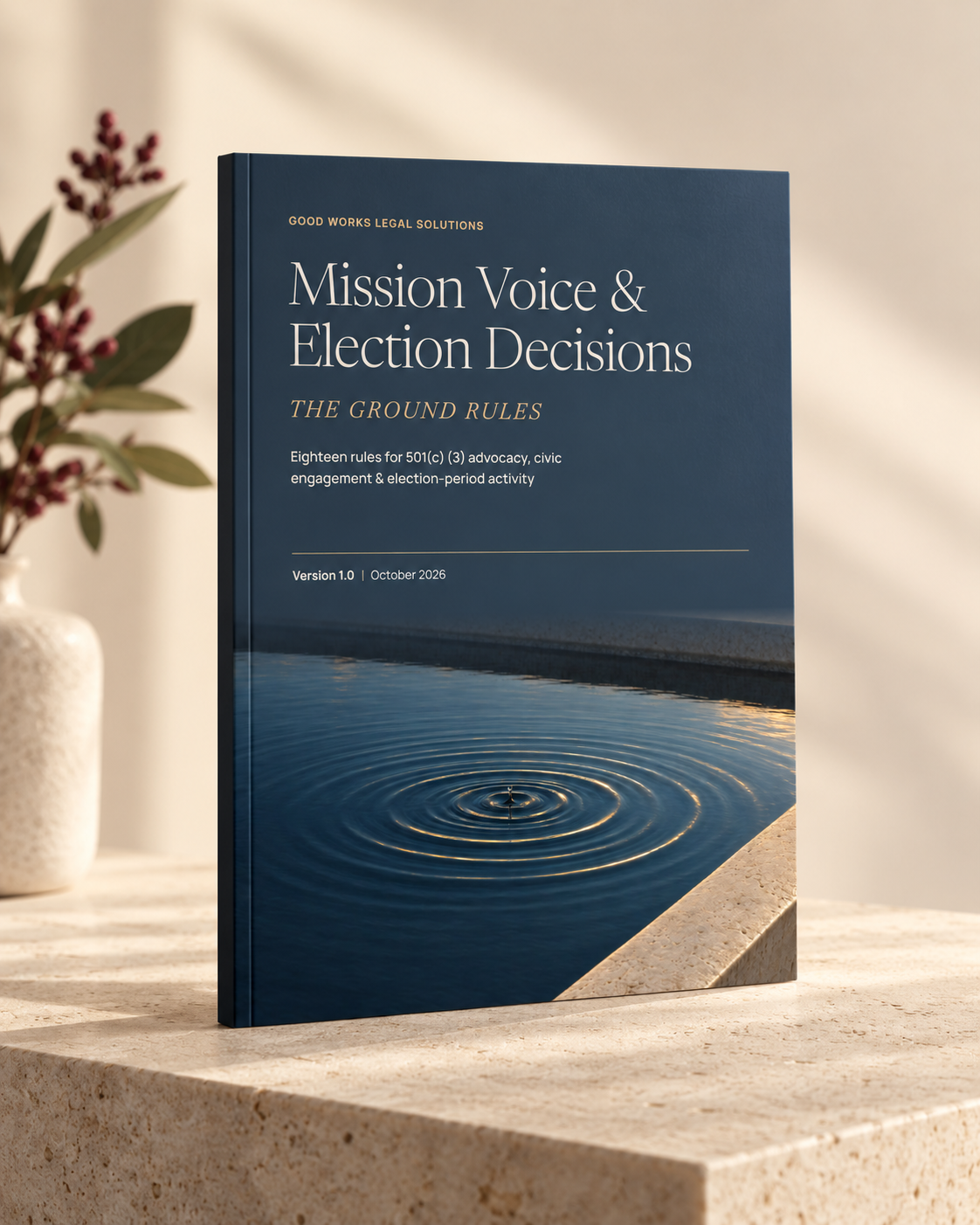 Mission Voice & Election Decisions: The Ground Rules