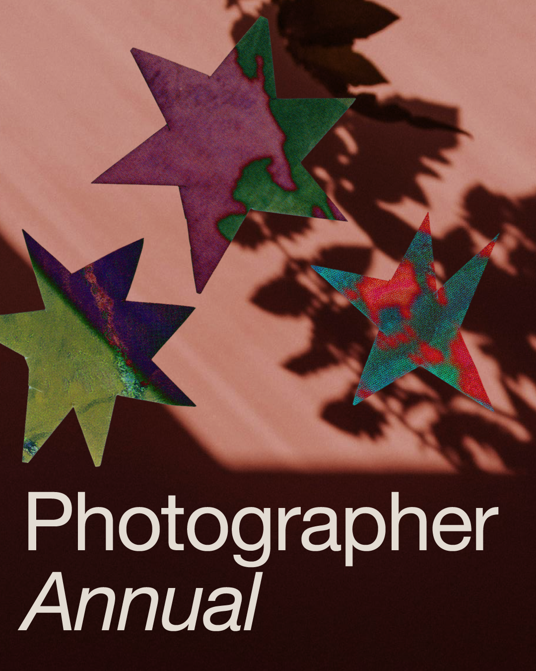 Memberships-ProductImages-Photographer-Annual.png
