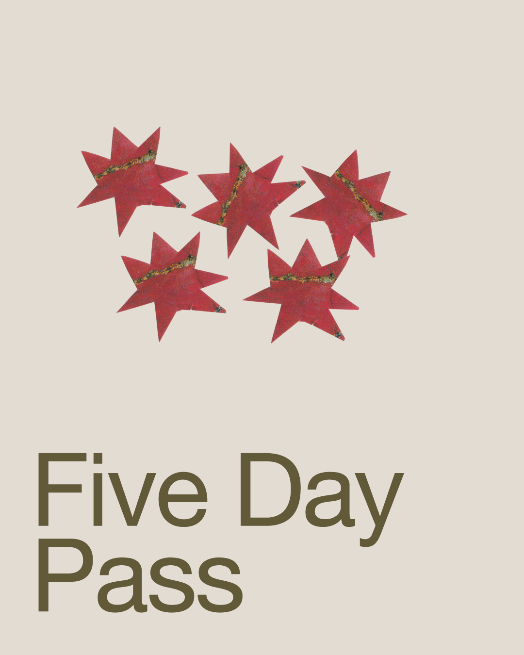 Founder's Five Day Punch Pass