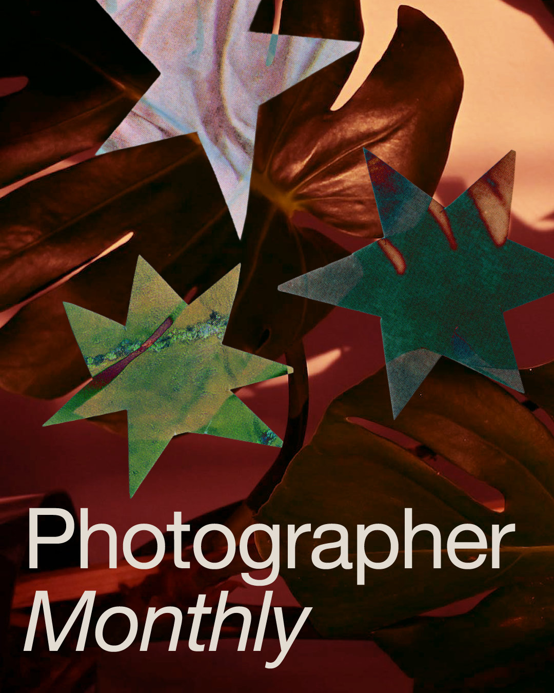 Memberships-ProductImages-Photographer-Monthly.png