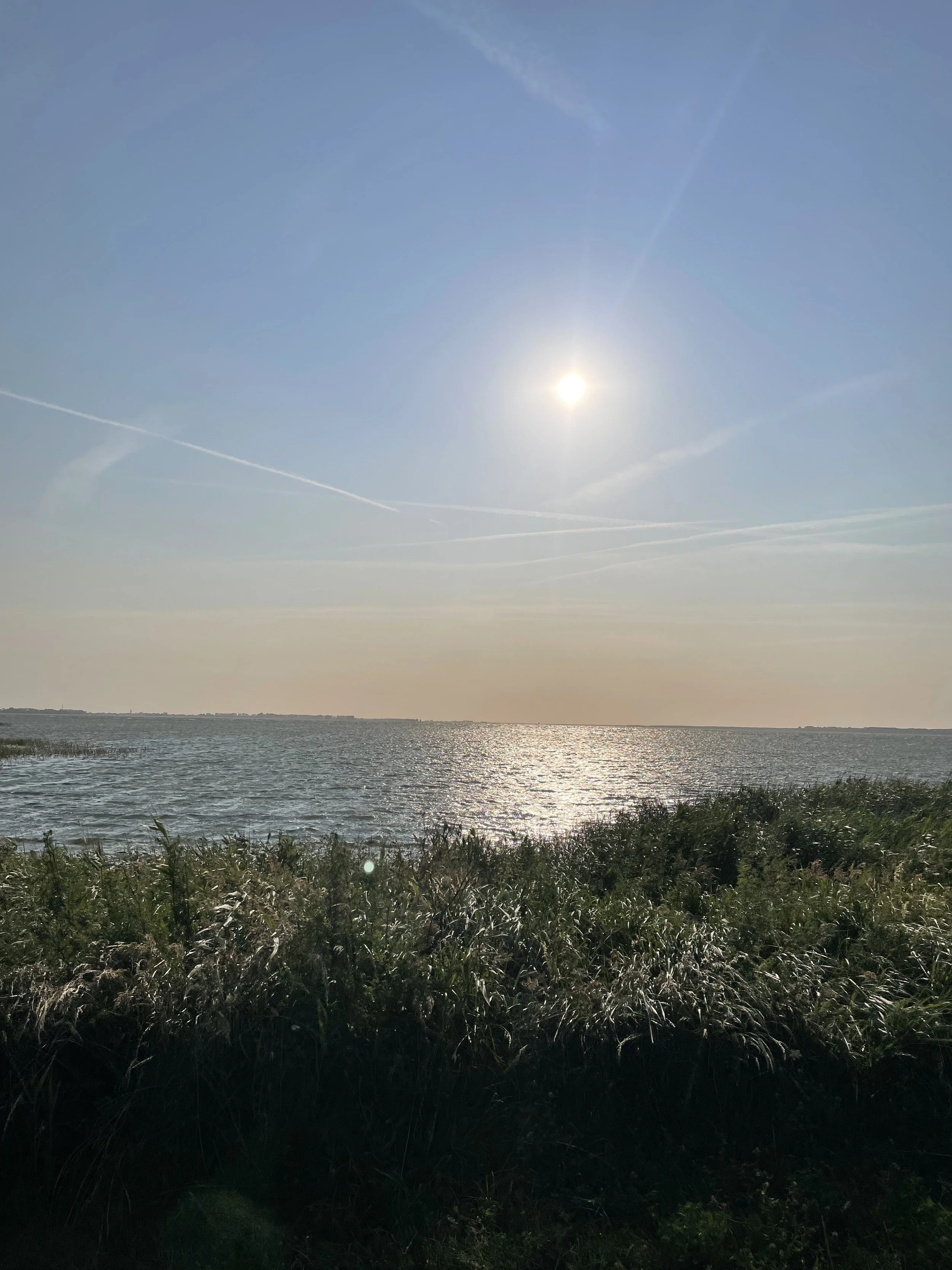 IMG_0825.jpg