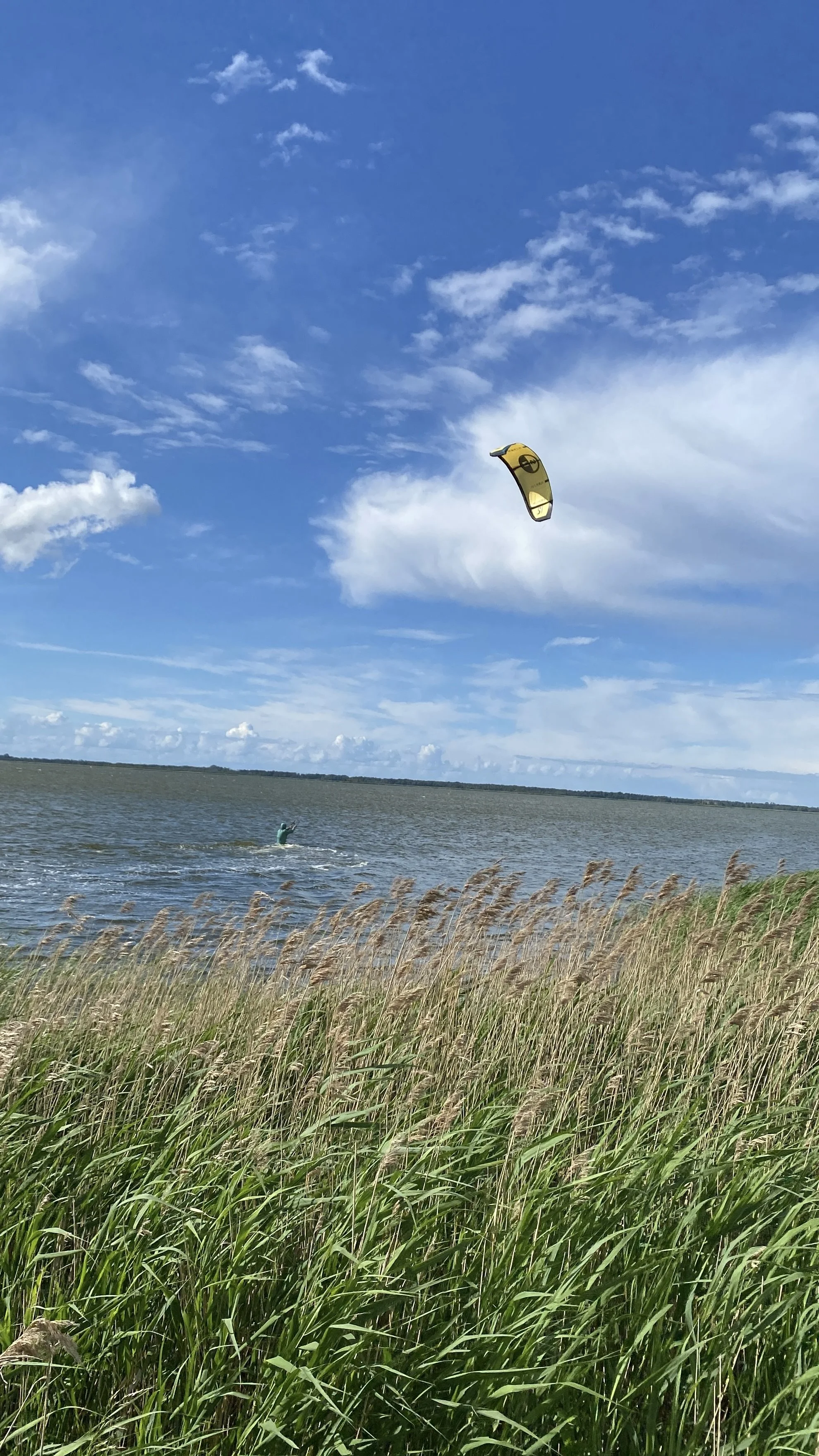 IMG_0895.jpg