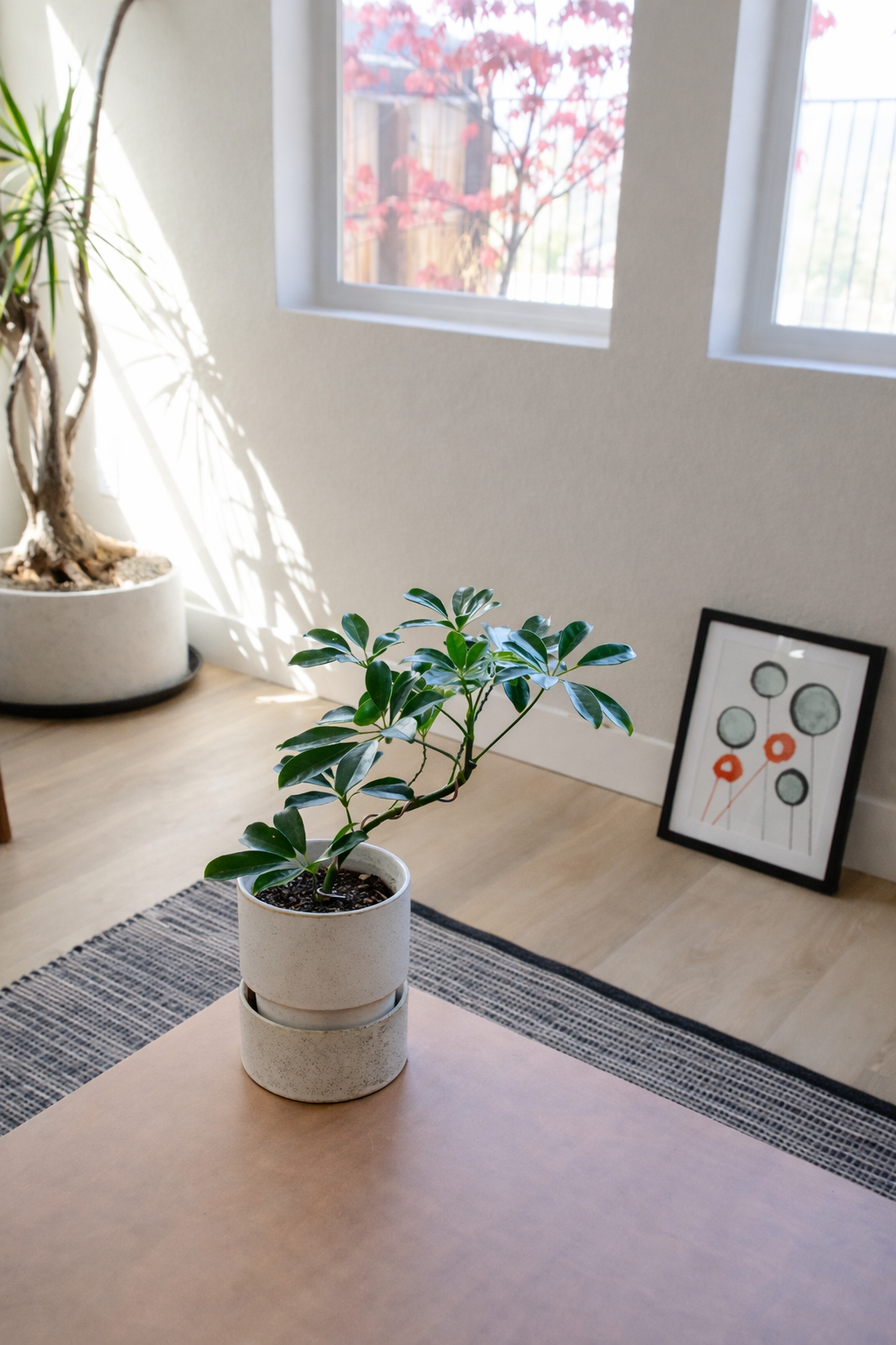 Modern living with vibrant plant accents.png