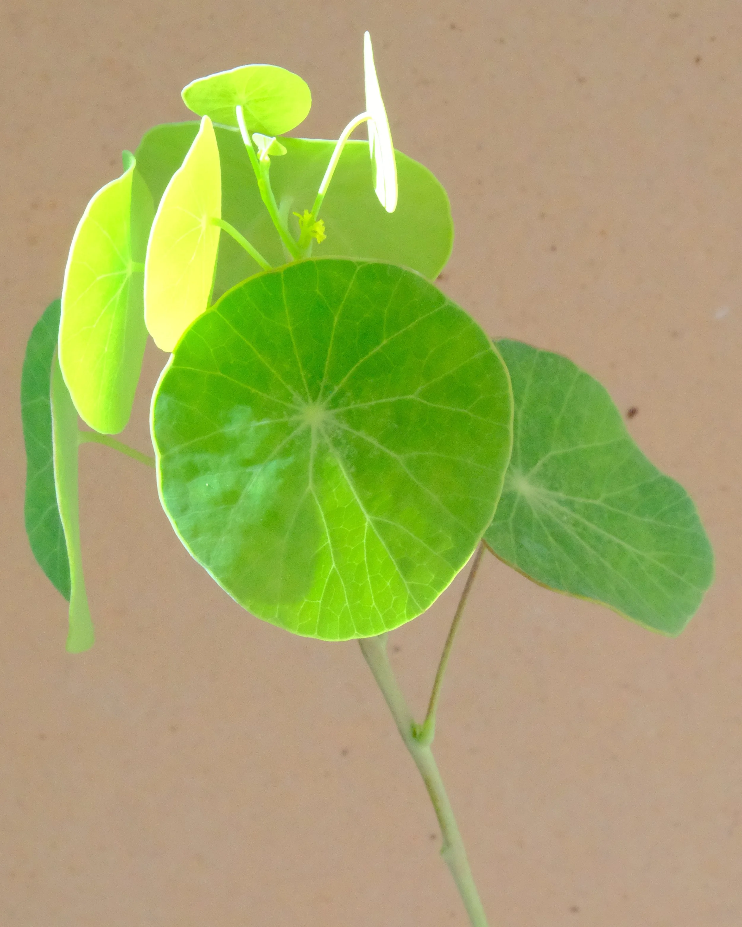 DSCF4309.JPG
