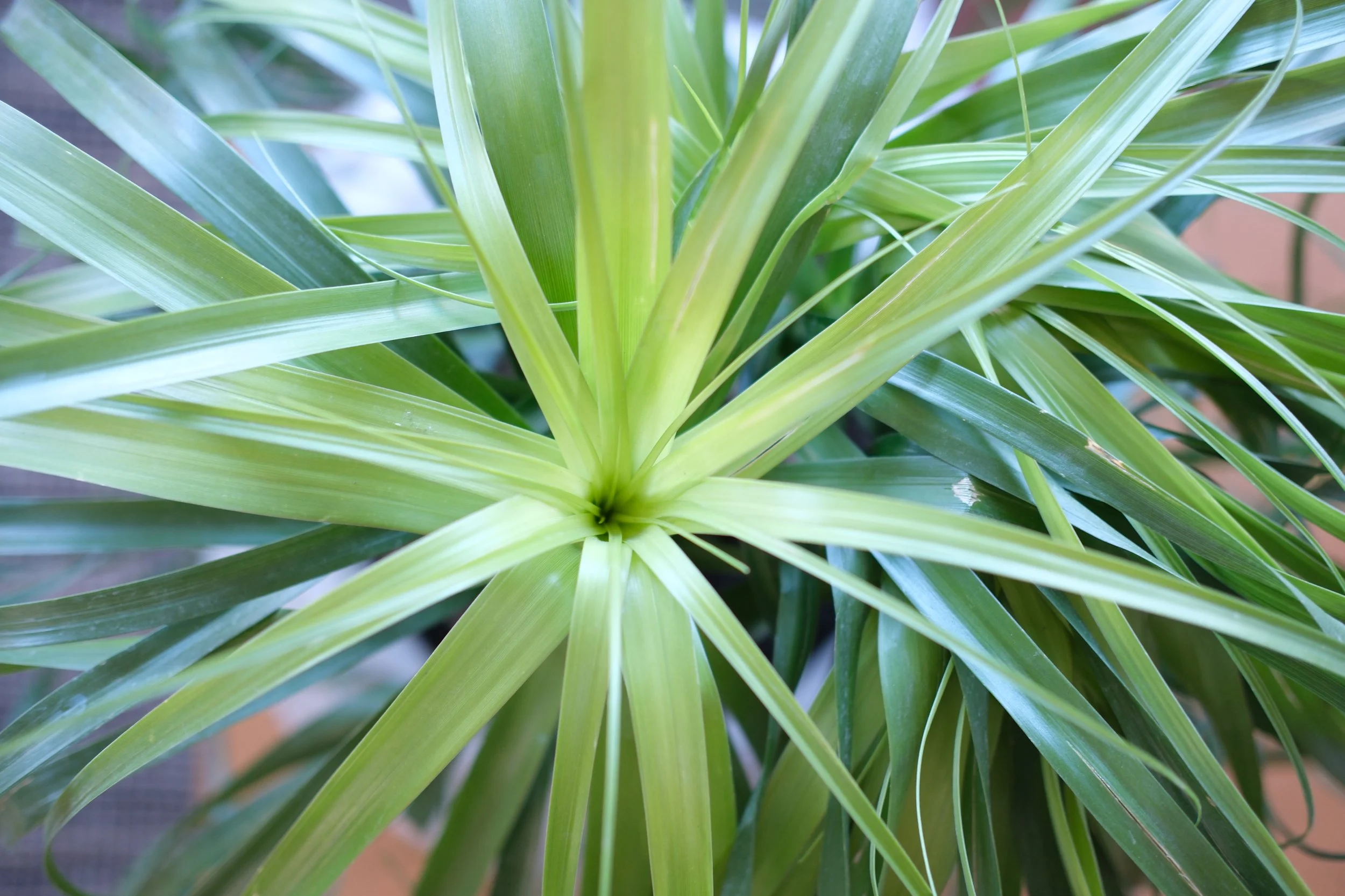 DSCF3756.png