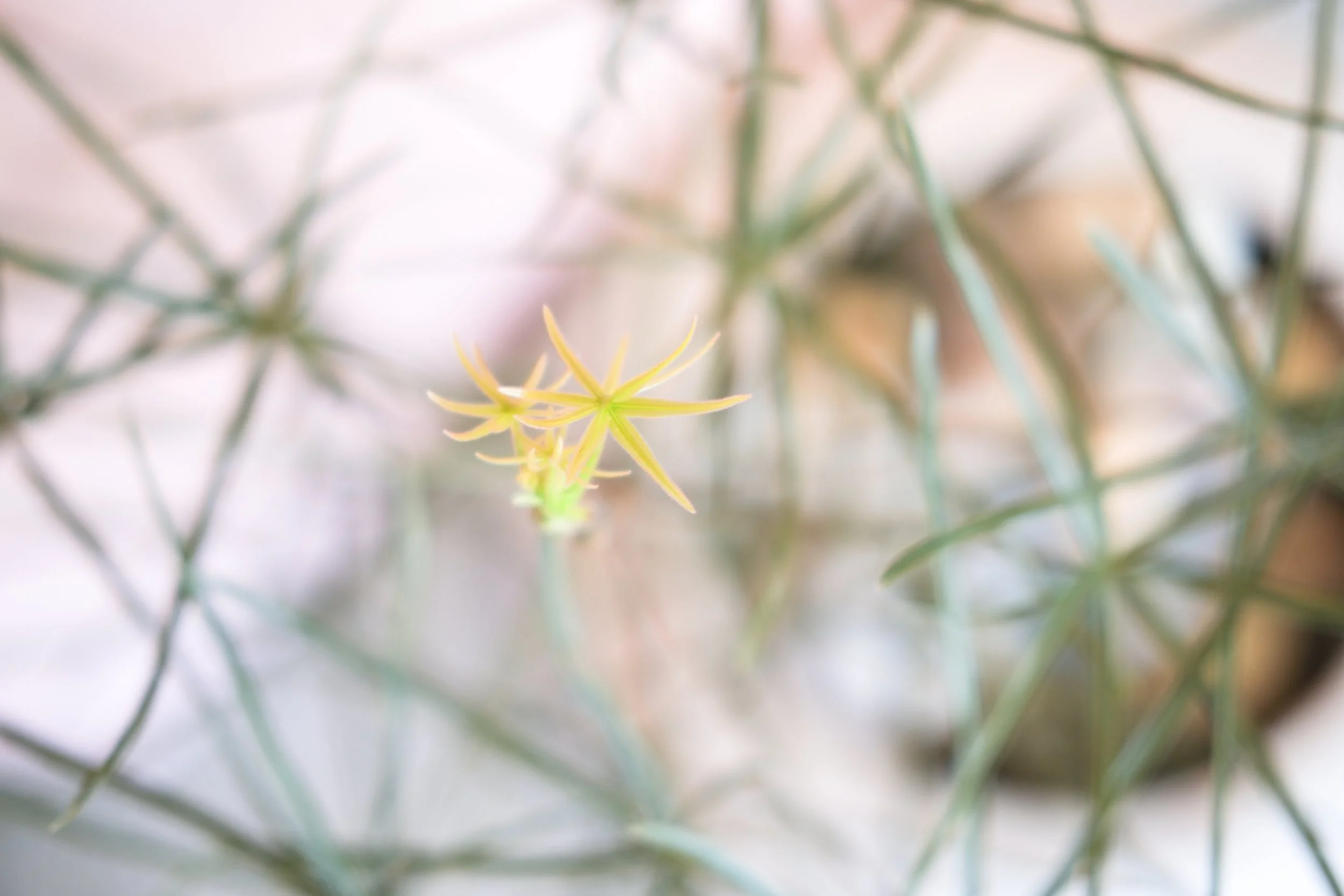 DSCF3713.JPG