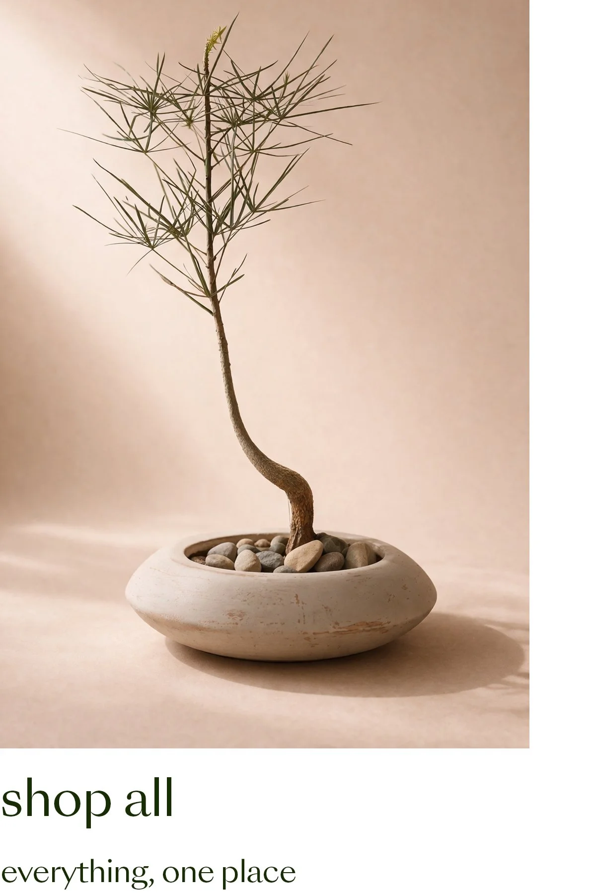shop all.jpg