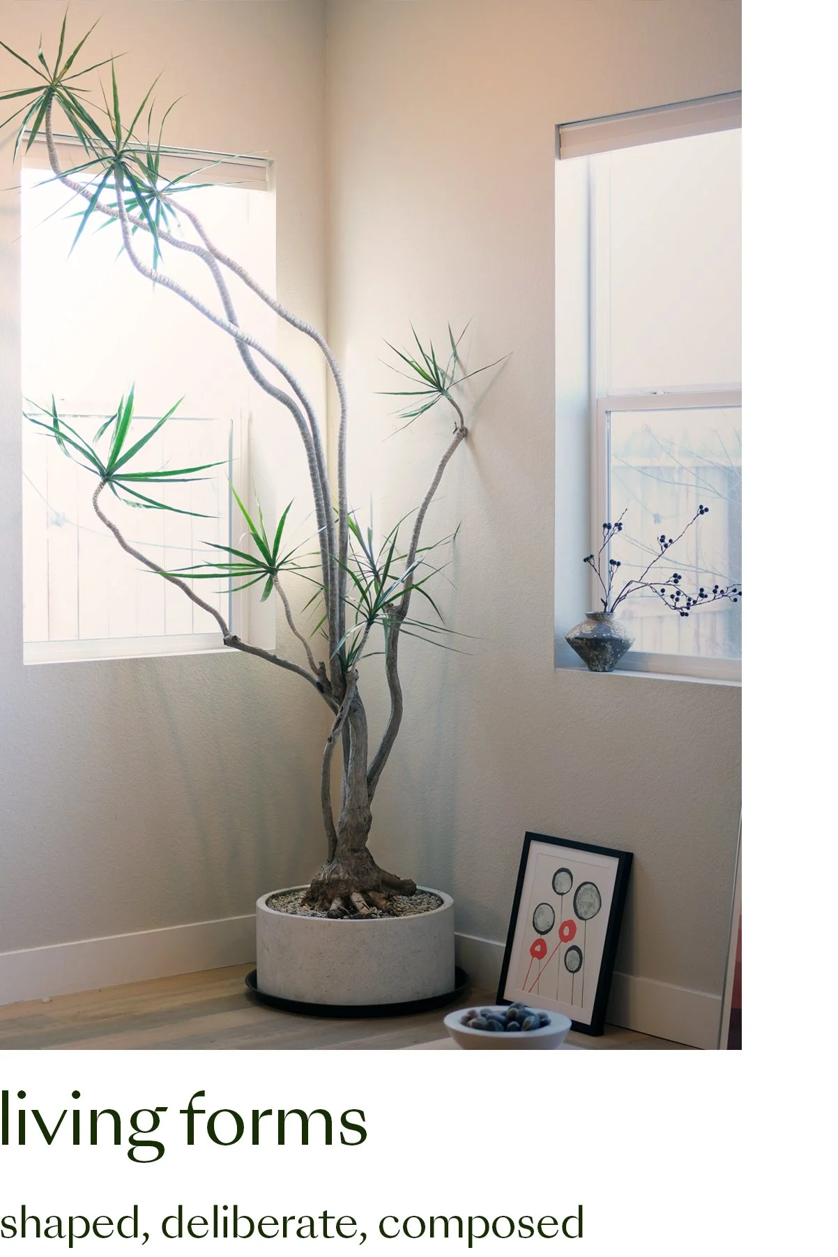 living forms cent.jpg