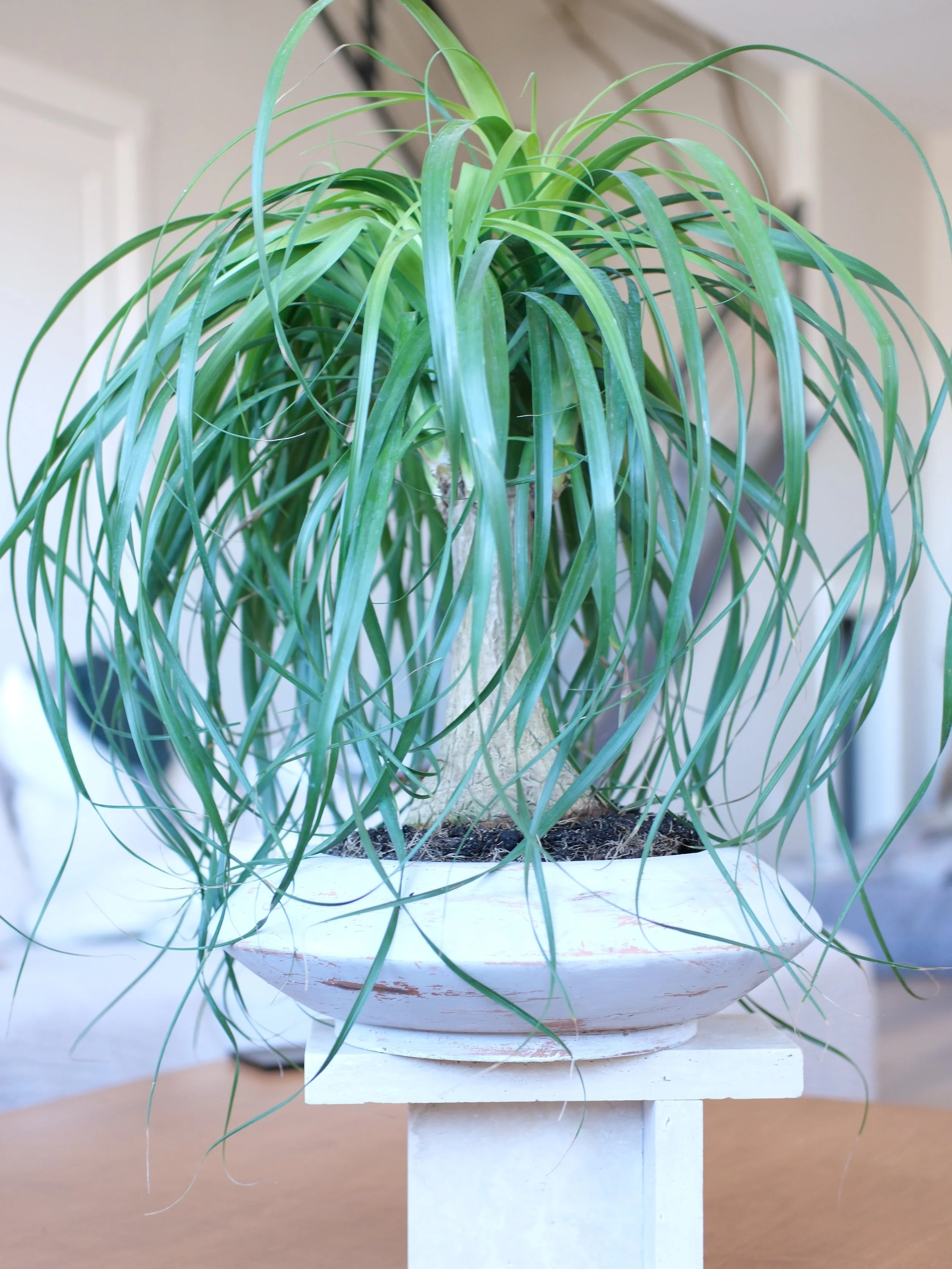 DSCF3753.png