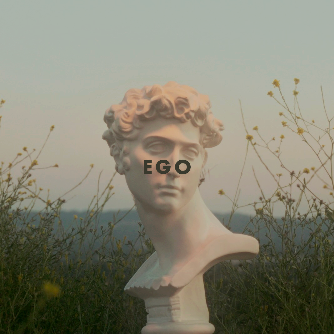 A white classical sculpture bust of a man with curly hair, set outdoors among tall wildflowers and plants, with a hazy sky in the background. The word "EGO" is overlaid on the bust's face.