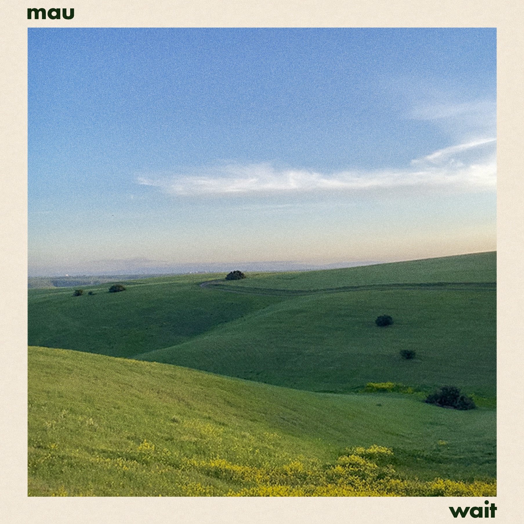 Picturesque landscape of rolling green hills with a few trees, under a partly cloudy sky at sunset.