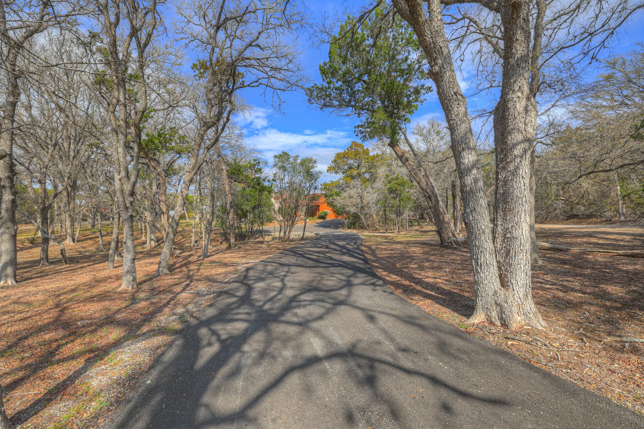 A paved path through a wooded area with trees casting shadows on the ground, some trees have green leaves, others are leafless, under a partly cloudy blue sky.