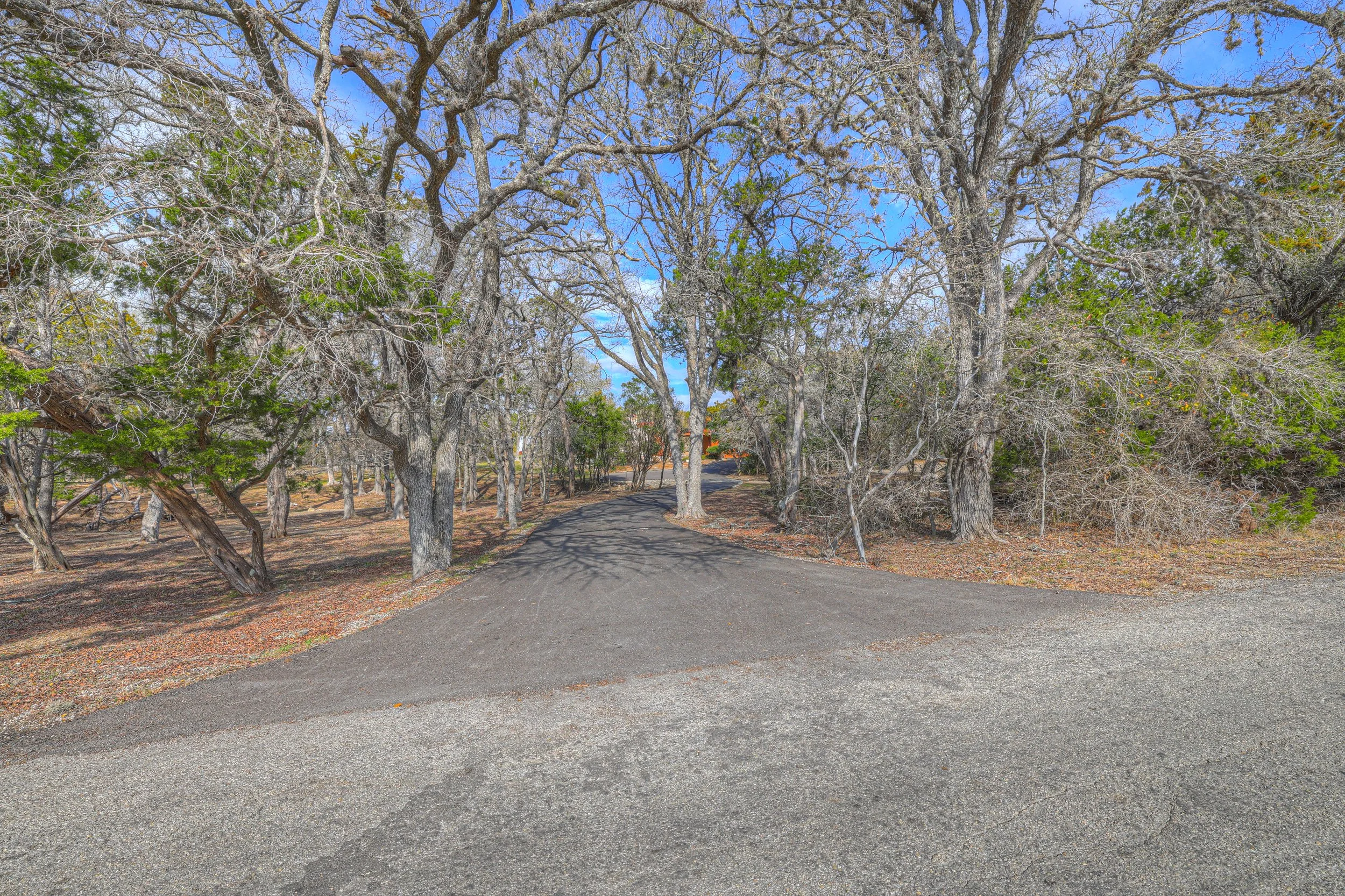 A paved road curves through a grove of leafless trees with some evergreen foliage, under a bright blue sky.