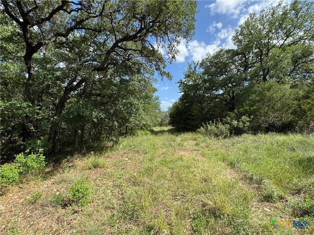 A dirt trail runs through a grassy area with trees on both sides under a partly cloudy sky.