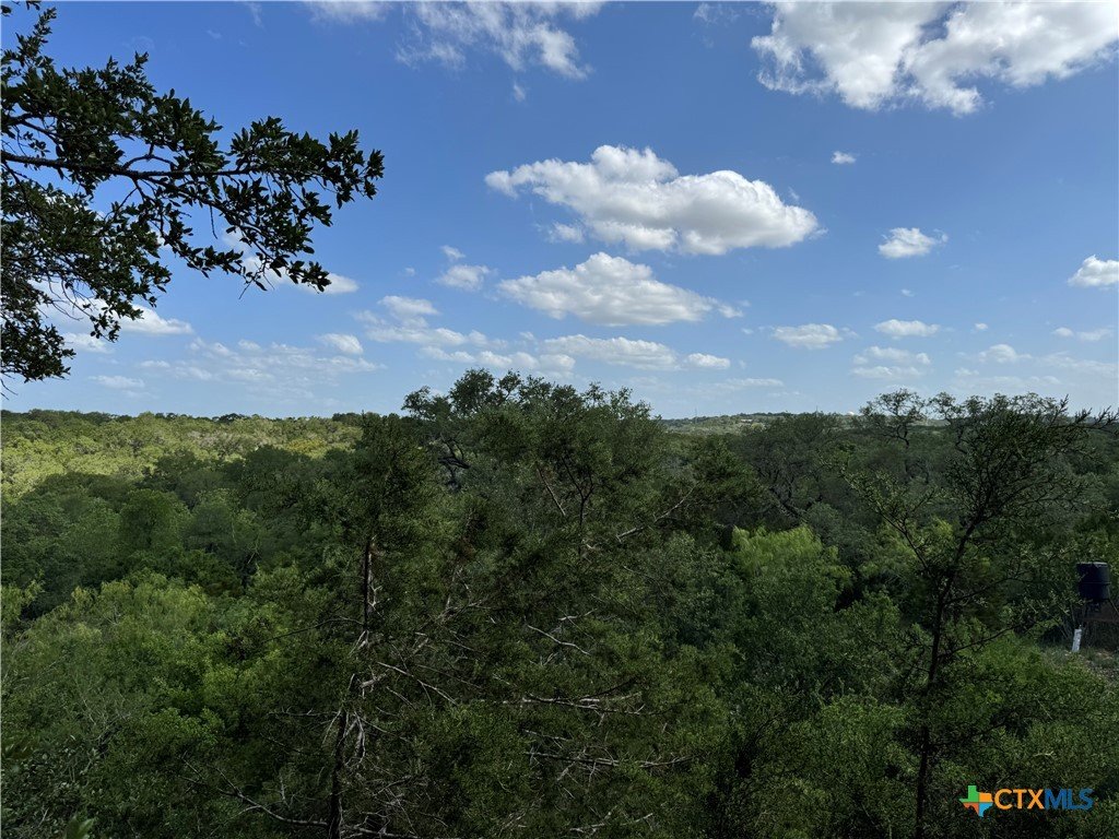 A scenic view of a lush green forest under a bright blue sky with scattered white clouds.