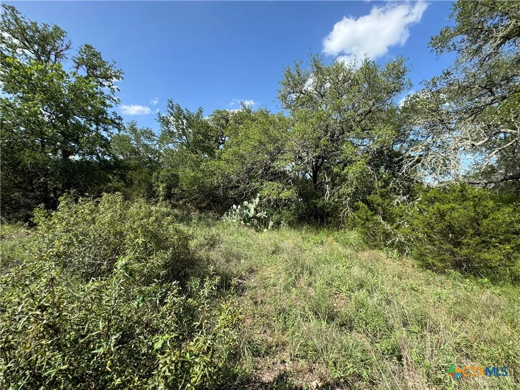 A dirt trail through a green, bushy landscape with trees, shrubs, and cacti under a partly cloudy blue sky.