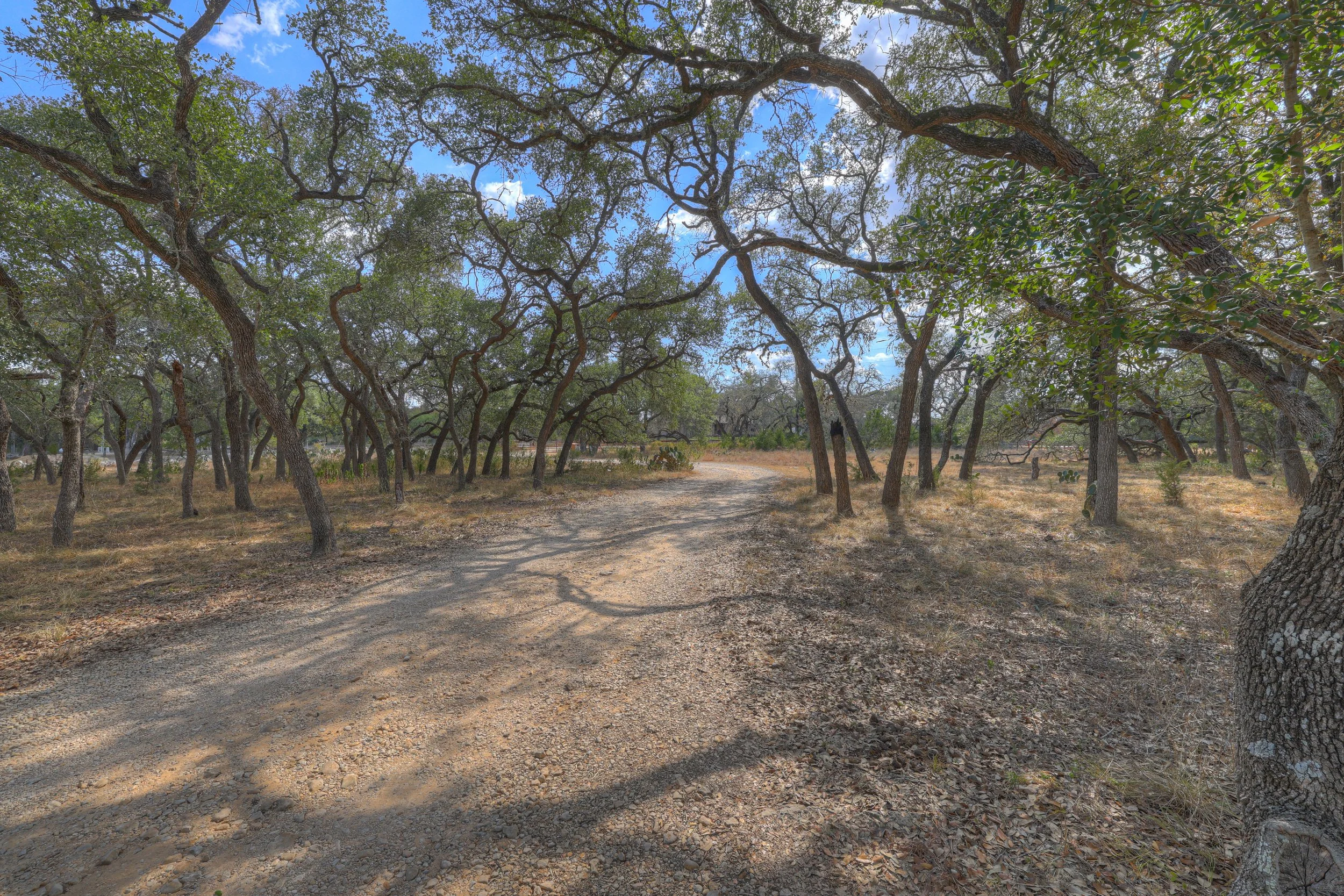 A dirt trail winding through a dry, wooded landscape with scattered trees and a partly cloudy sky.